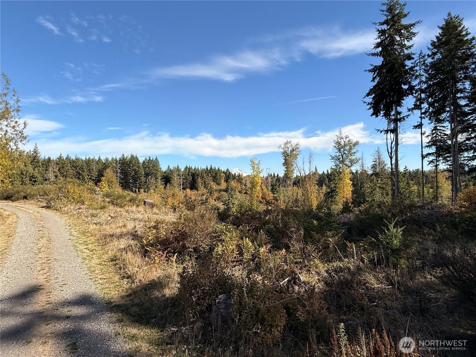 Rainier, Washington, 98576, United States, ,Land,For Sale,1998419