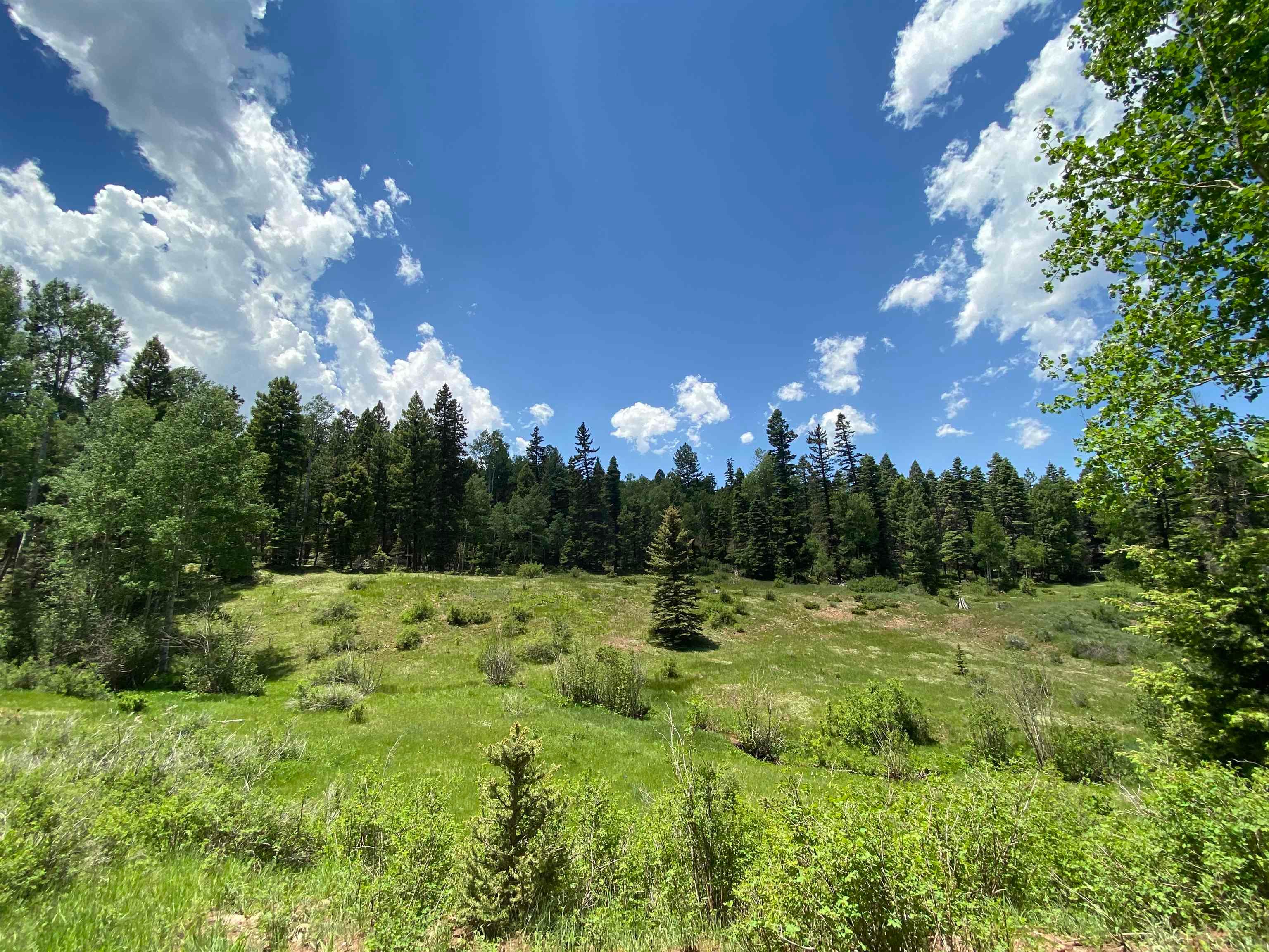 Angel Fire, New Mexico, 87710, United States, 5 Bedrooms Bedrooms, ,5 BathroomsBathrooms,Land,For Sale,1882834