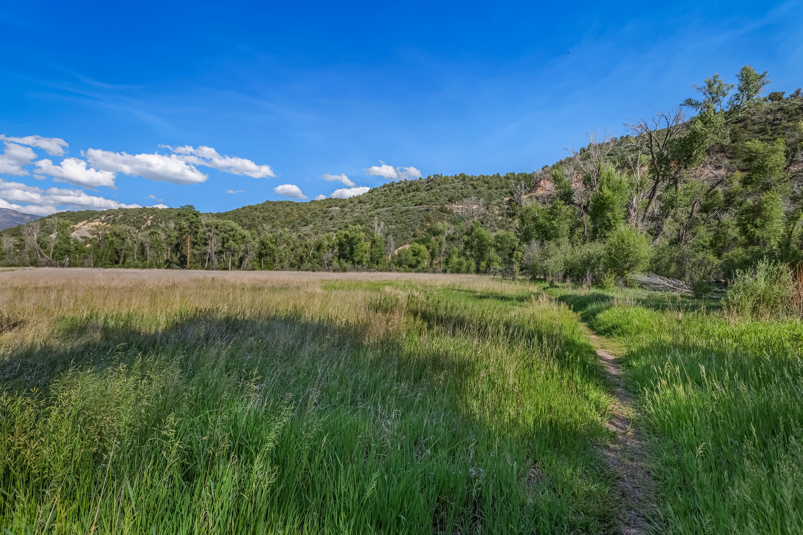  11 Piñon Lane, Carbondale, CO 81623 - 物件實景