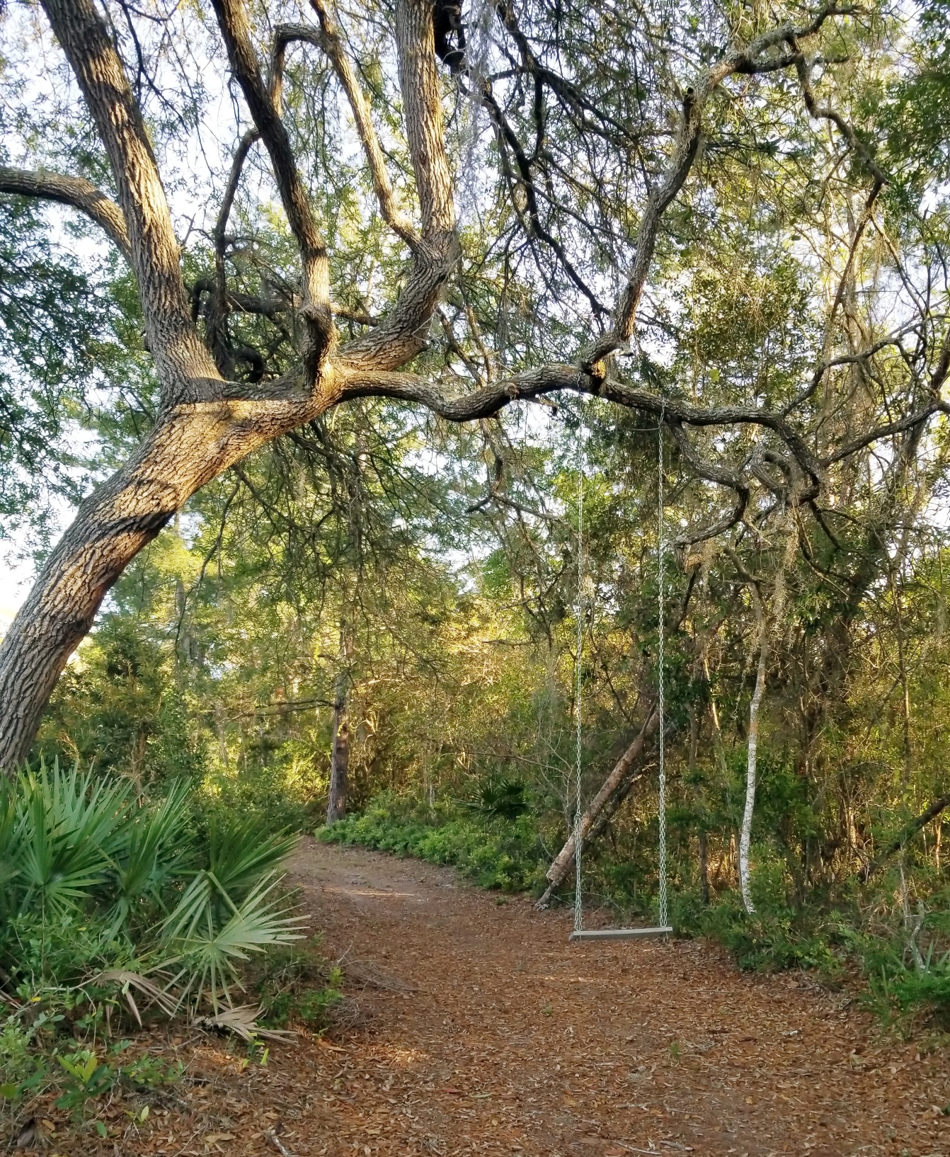 Crescent City, Florida, 32112, United States, 3 Bedrooms Bedrooms, ,Residential,For Sale,1943511