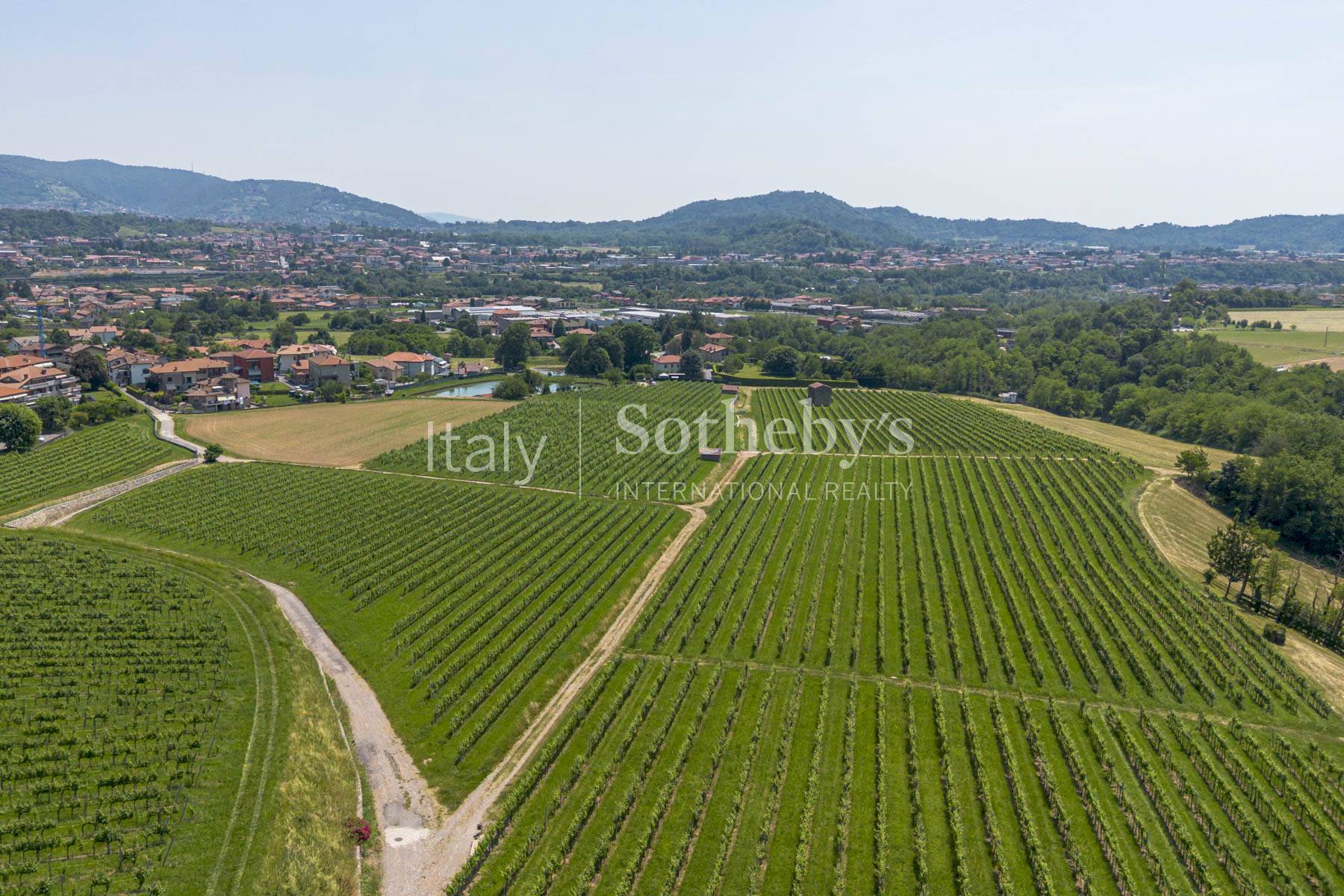  Historic agricultural estate with vineyards and heritage complex - 物件實景