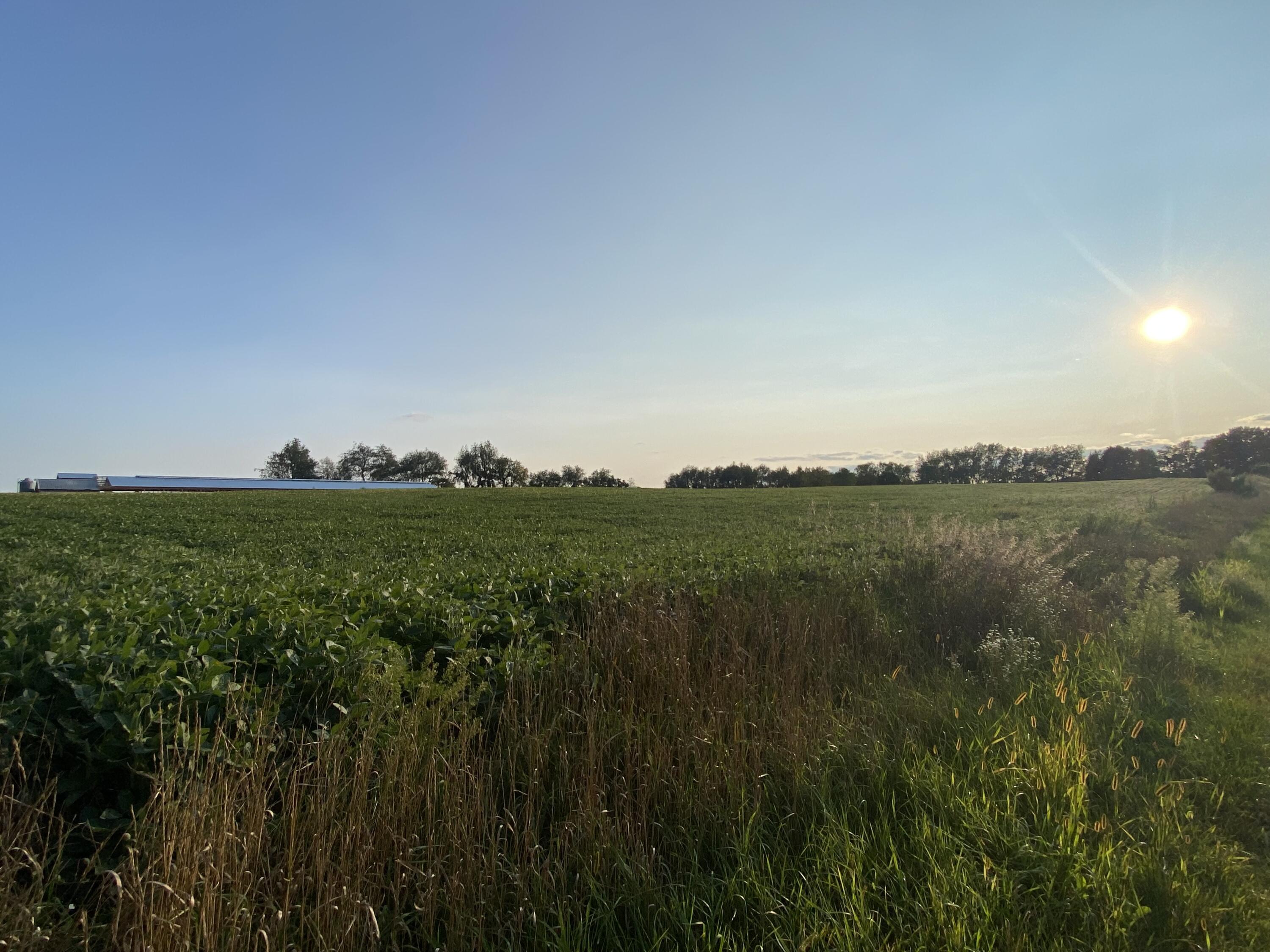 Lakeview, Michigan, 48850, United States, ,Land,For Sale,1942163