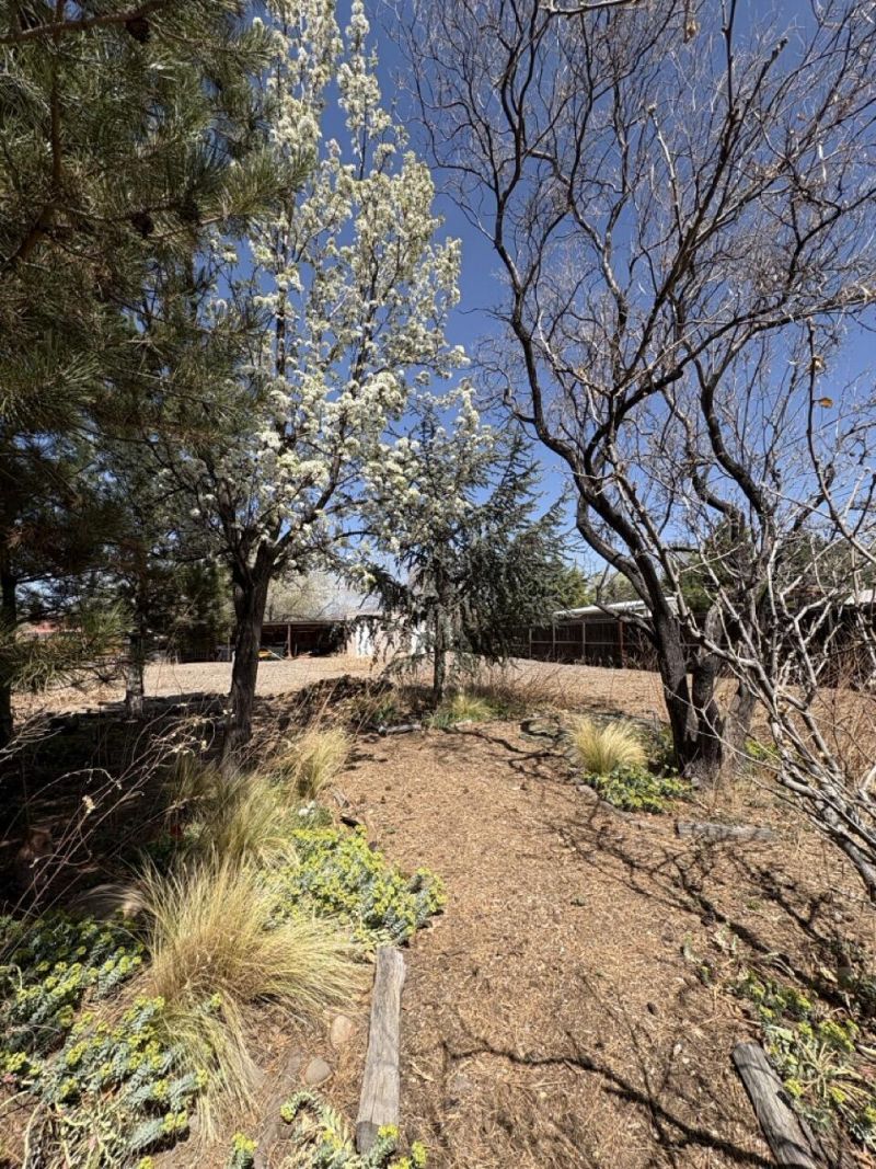 Albuquerque, New Mexico, 87107, United States, 4 Bedrooms Bedrooms, ,3 BathroomsBathrooms,Residential,For Sale,1917384