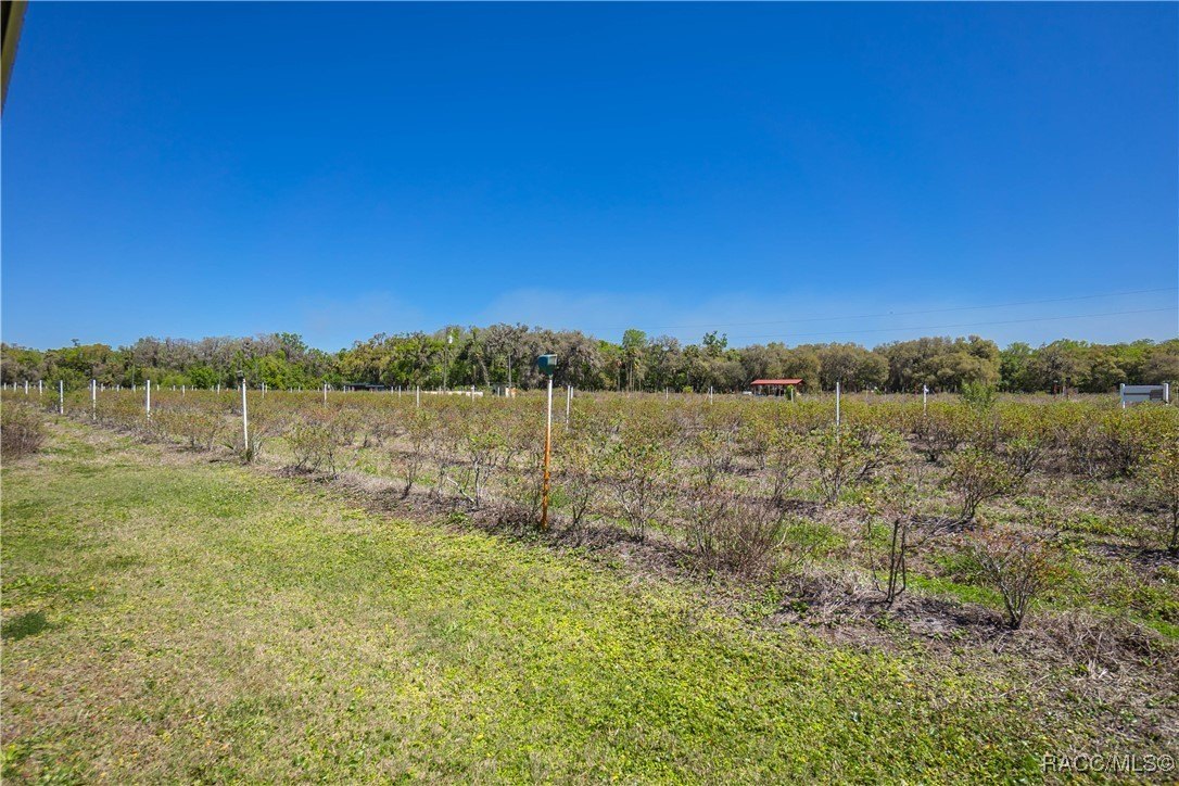 Inverness, Florida, 34450, United States, 3 Bedrooms Bedrooms, ,2 BathroomsBathrooms,Residential,For Sale,1881074