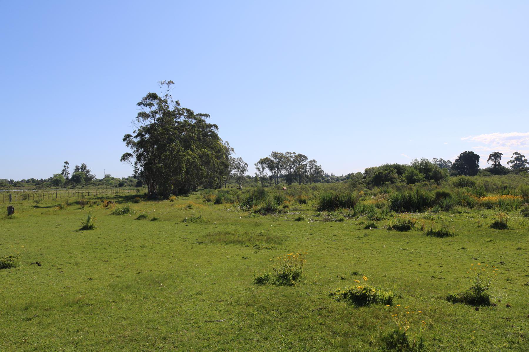  Large urban plot just steps from the city of Rocha. - 物件實景