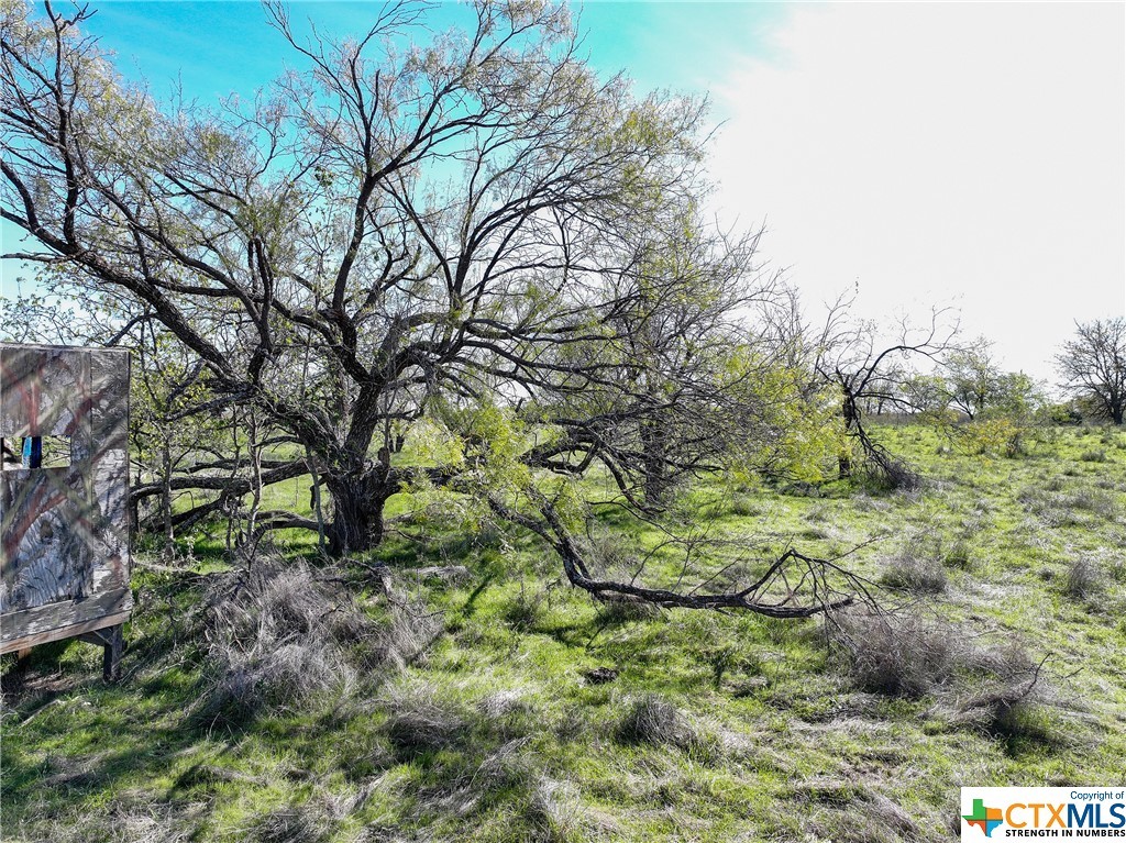Tbd Prairie Dell Road, Salado, Texas, 76571, United States, ,Residential,For Sale,Tbd Prairie Dell Road,1423669
