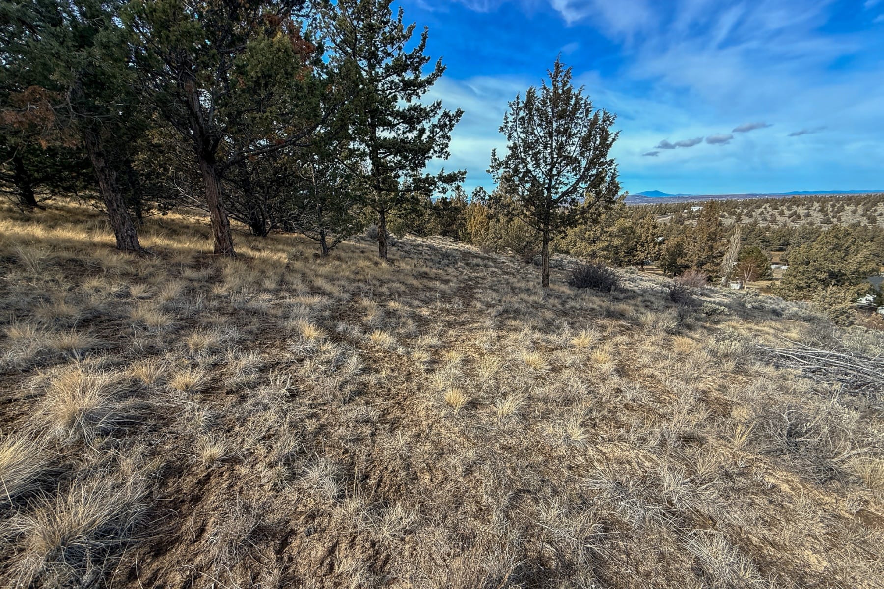  2600 SE TL 2600 Seneca Road Prineville, OR 97754 - 物件實景