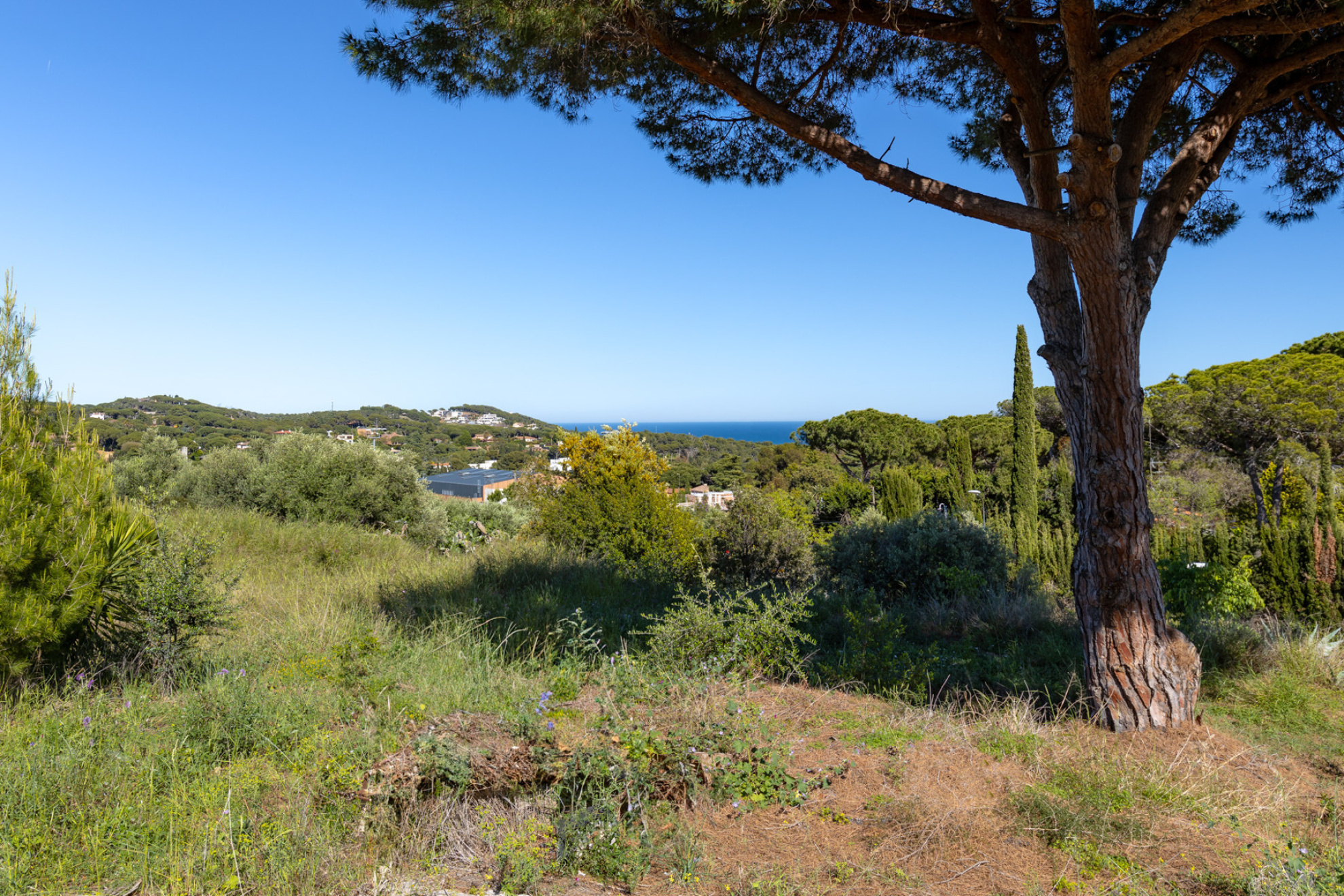  Plot with sea views in the center of Llavaneres - Costa BCN - 物件實景