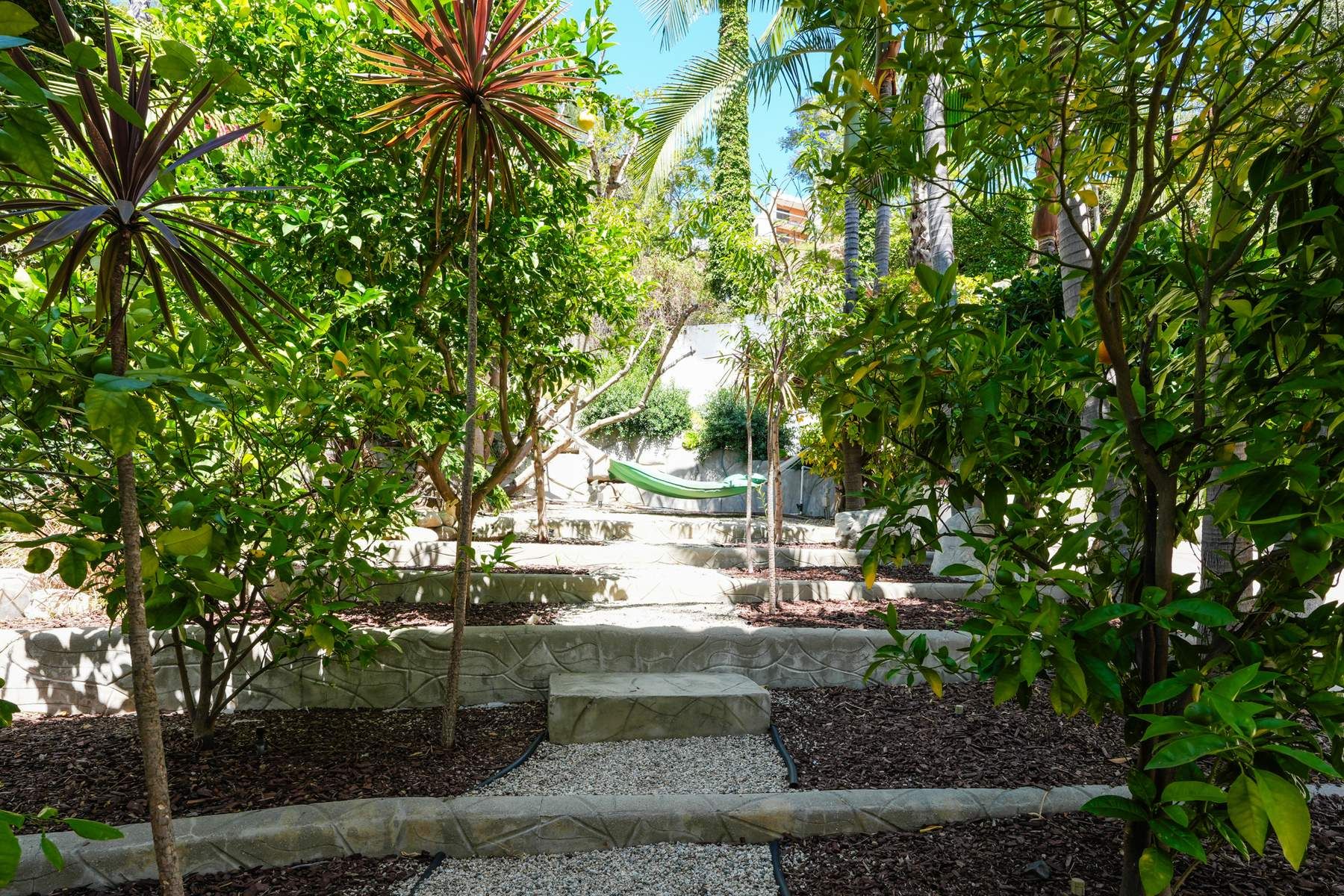  2216 East Live Oak Drive - 物件實景