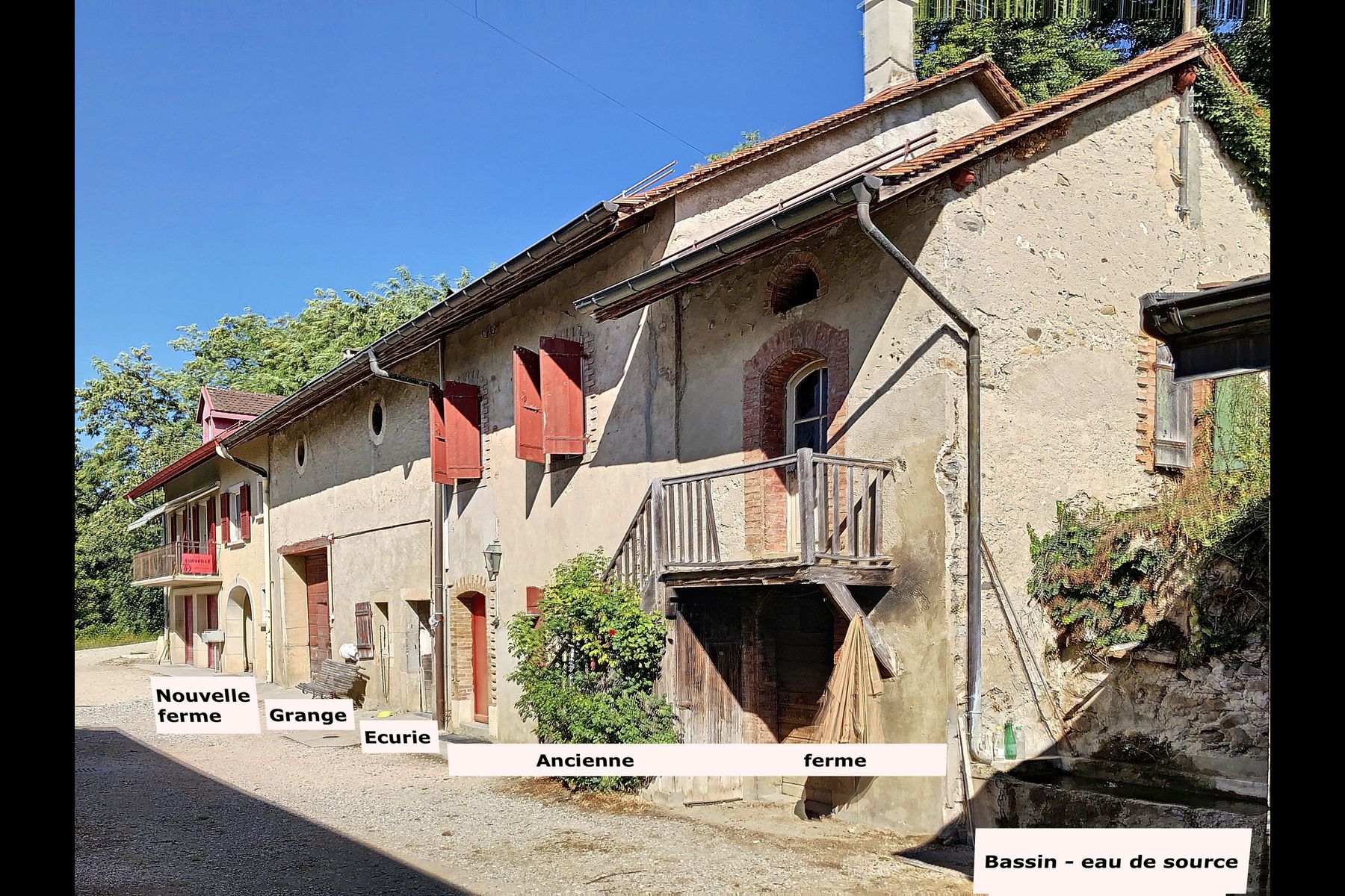  Wine-growing estate with forest, breathtaking lake view - 物件實景