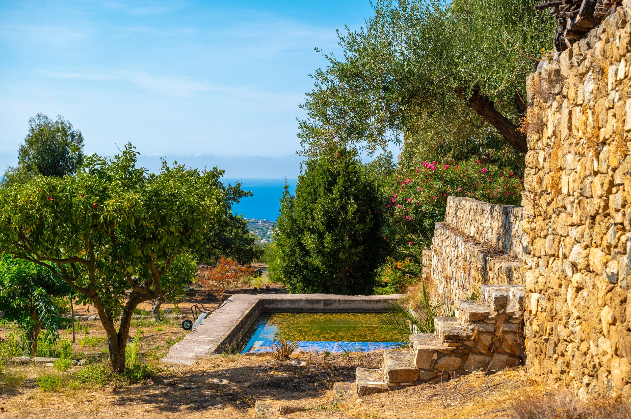  SALE : Superb property of 1.3 hectares overlooking the sea - Swimming pool - Lu… - 物件實景