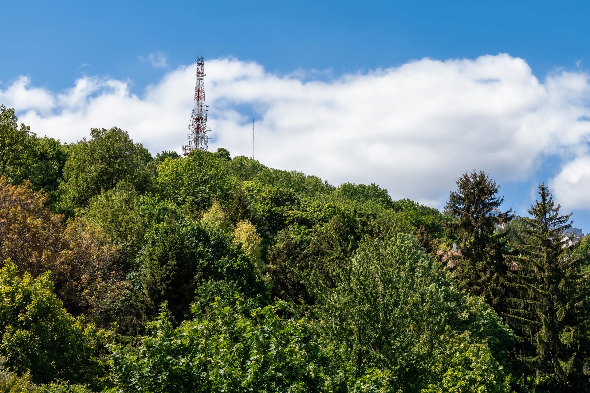 Prestigious Semi-Detached Villa with Pool in Budapest’s Exclusive Buda Hills - 物件實景