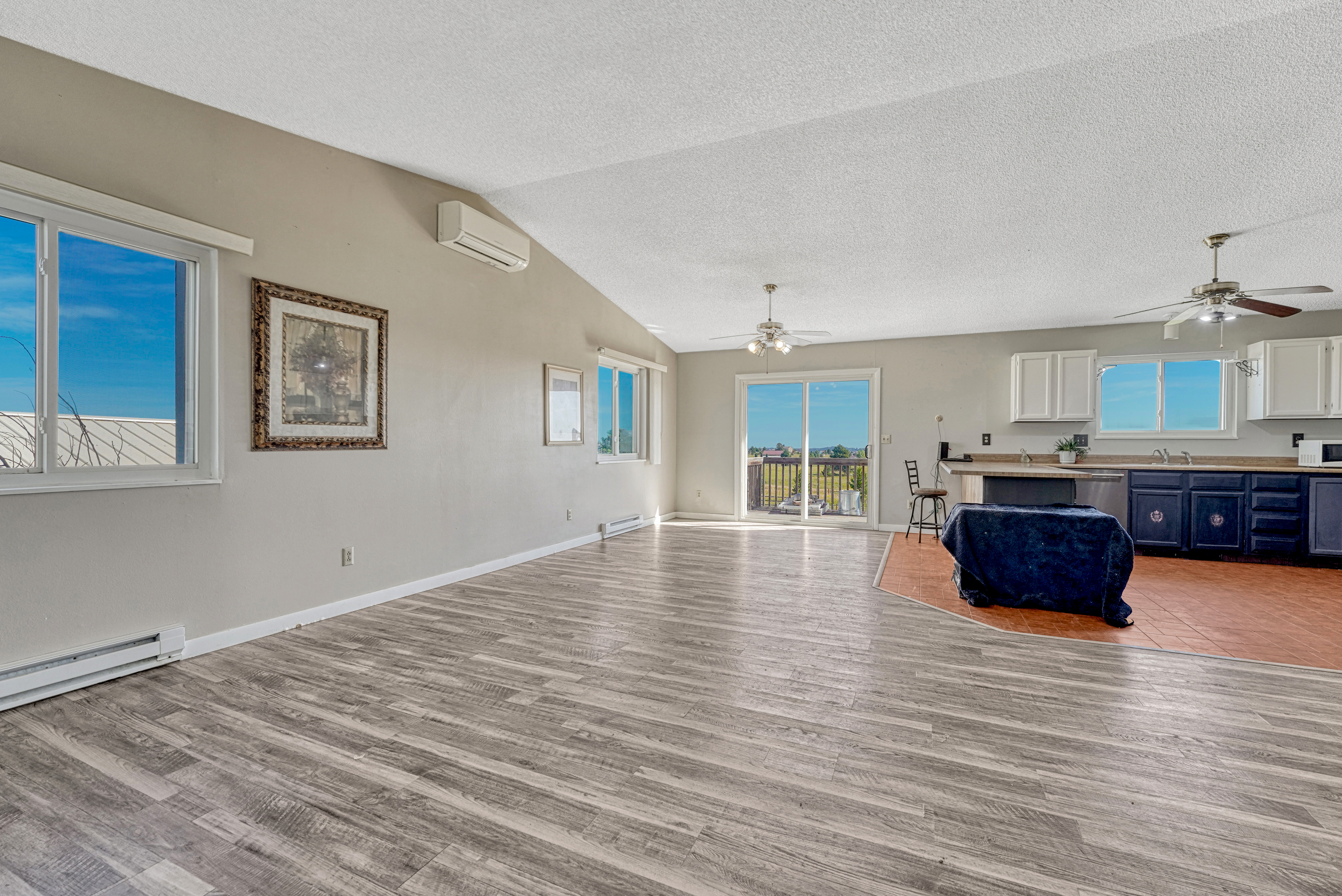  Amazing equestrian property in Black Forest on almost 6 acres - 物件實景