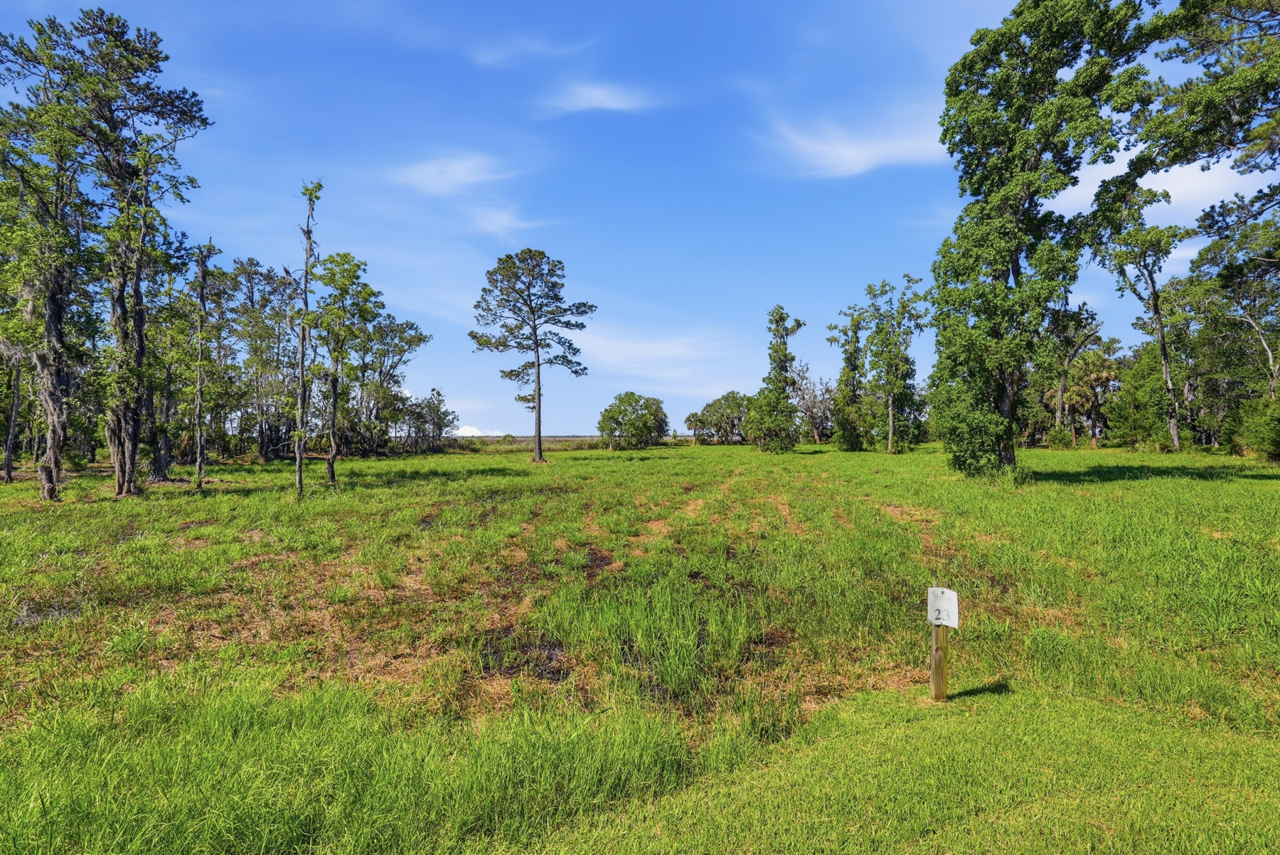  1155 Bridle Path Boulevard, Hardeeville - 物件實景
