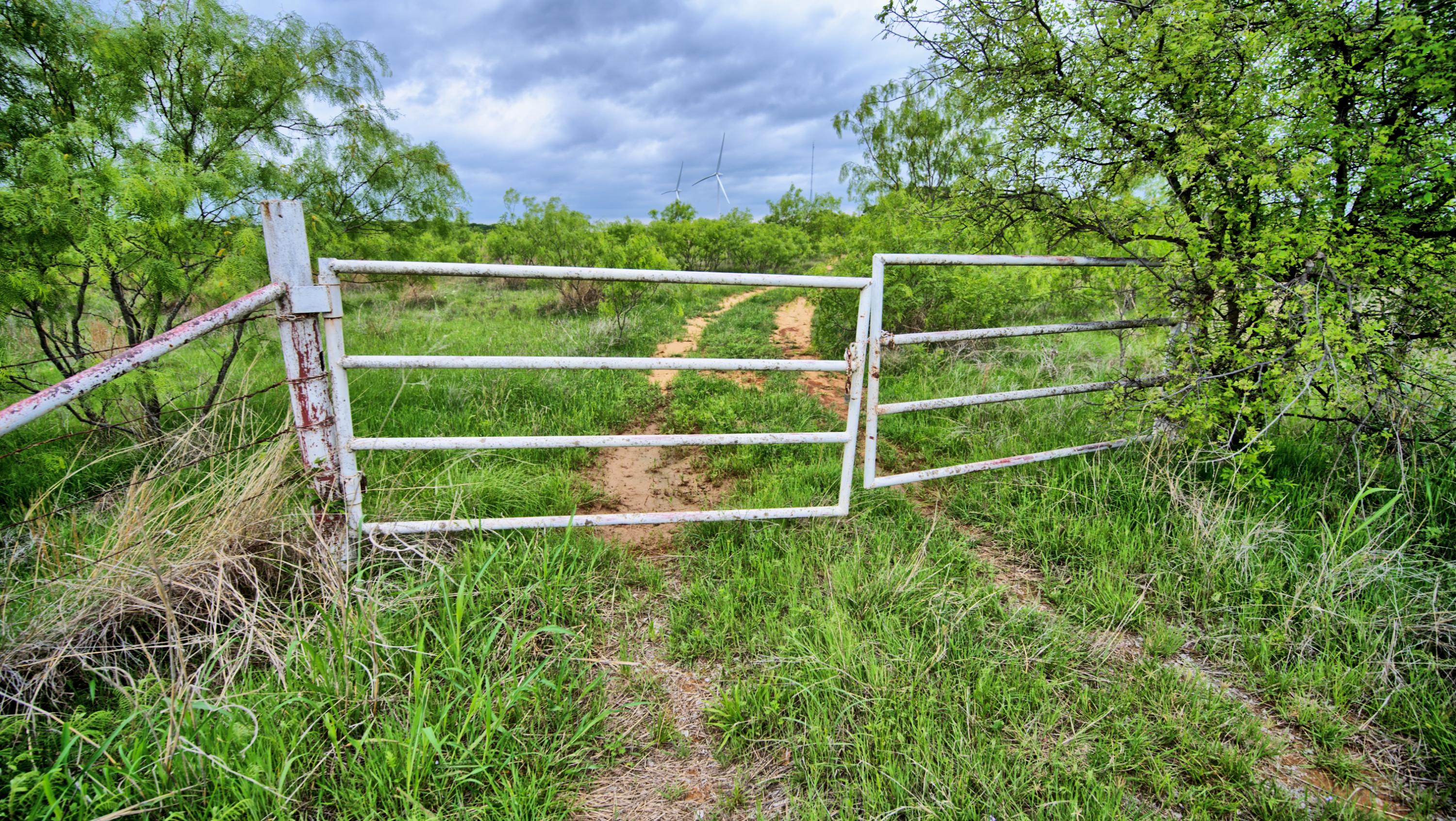  95 Acres in Clay County - 物件實景