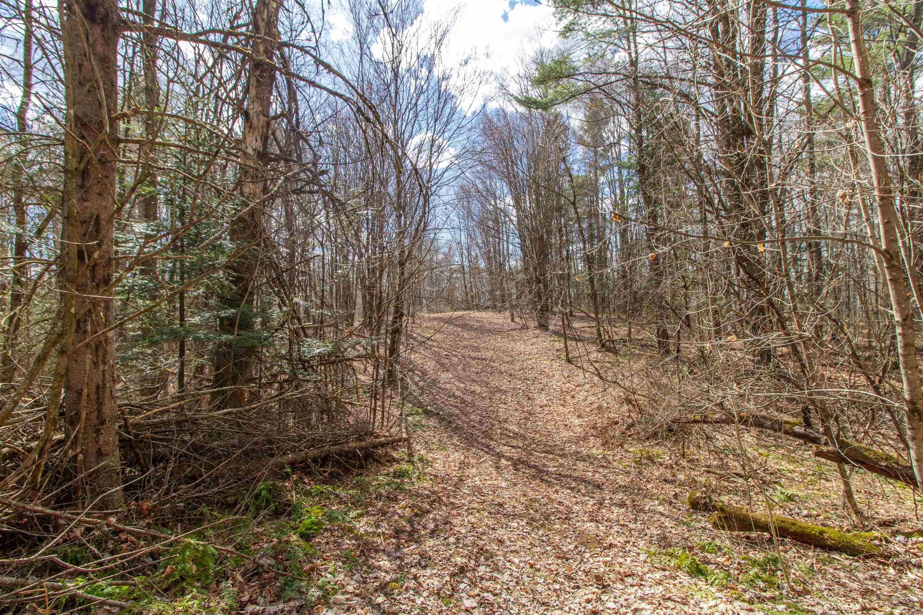 Burke, Vermont, 05832, United States, ,Land,For Sale,2041867