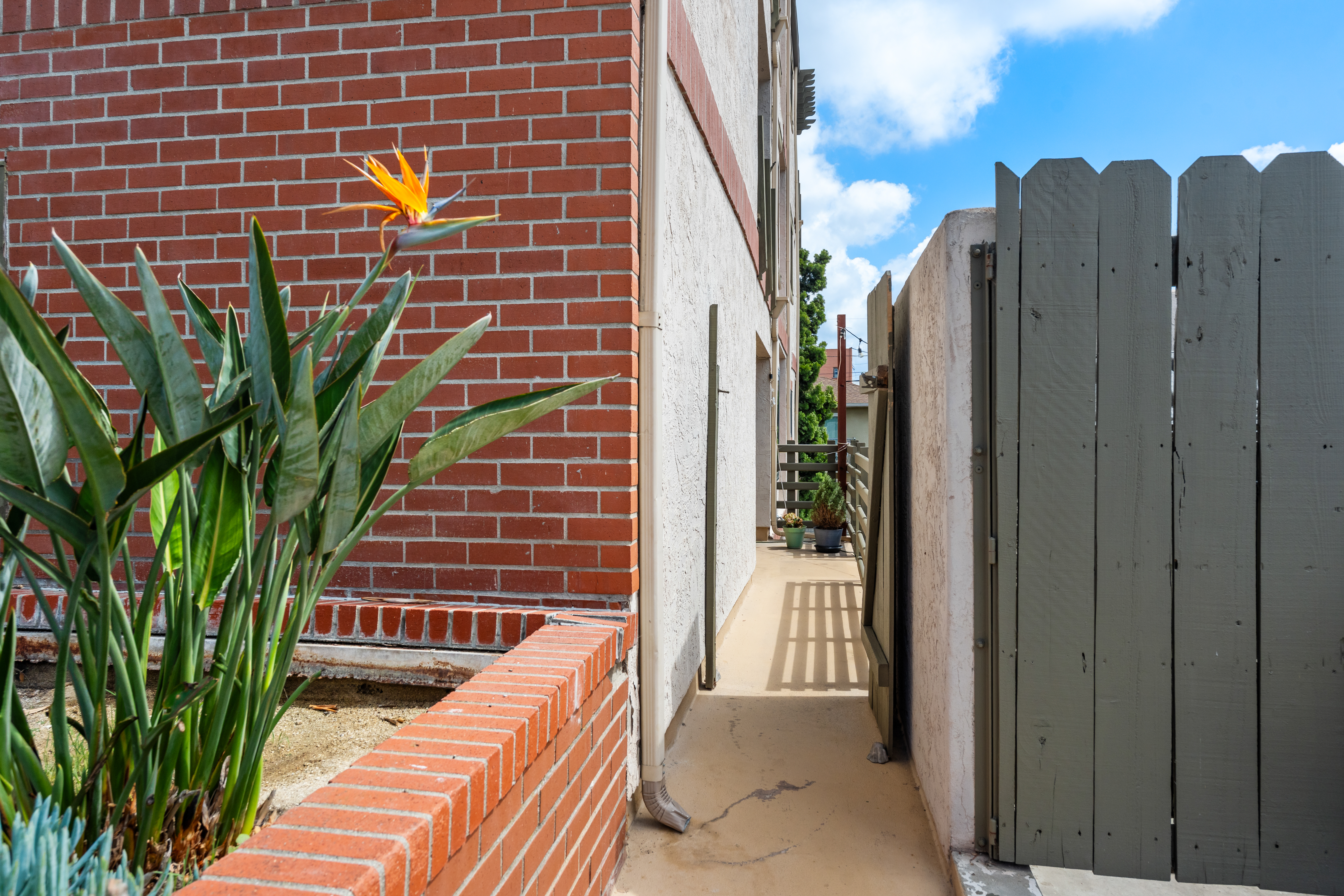  909 Sutter Street, San Diego, CA 92103 - 物件實景