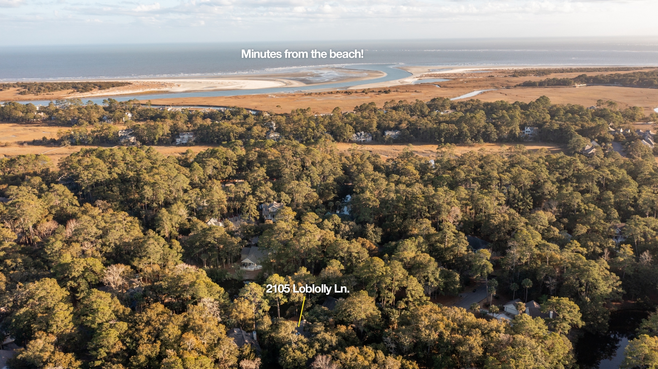  2105 Loblolly Lane - 物件實景