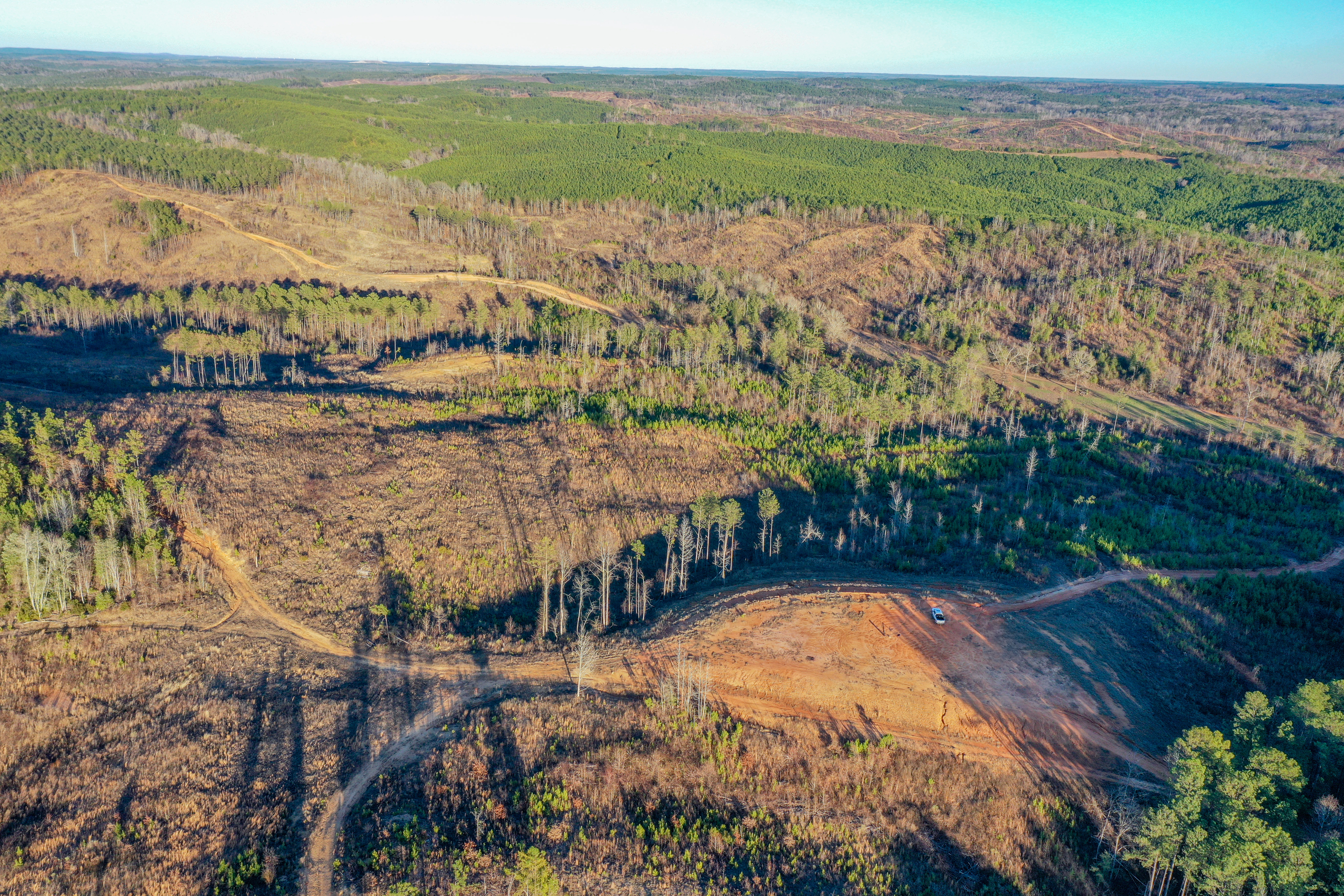 Centreville, Alabama, 35042, United States, ,Land,For Sale,2010430