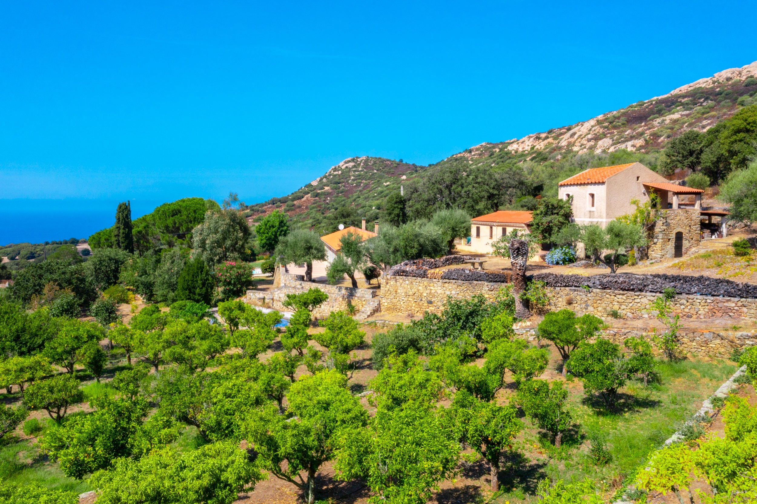  SALE : Superb property of 1.3 hectares overlooking the sea - Swimming pool - Lu… - 物件實景