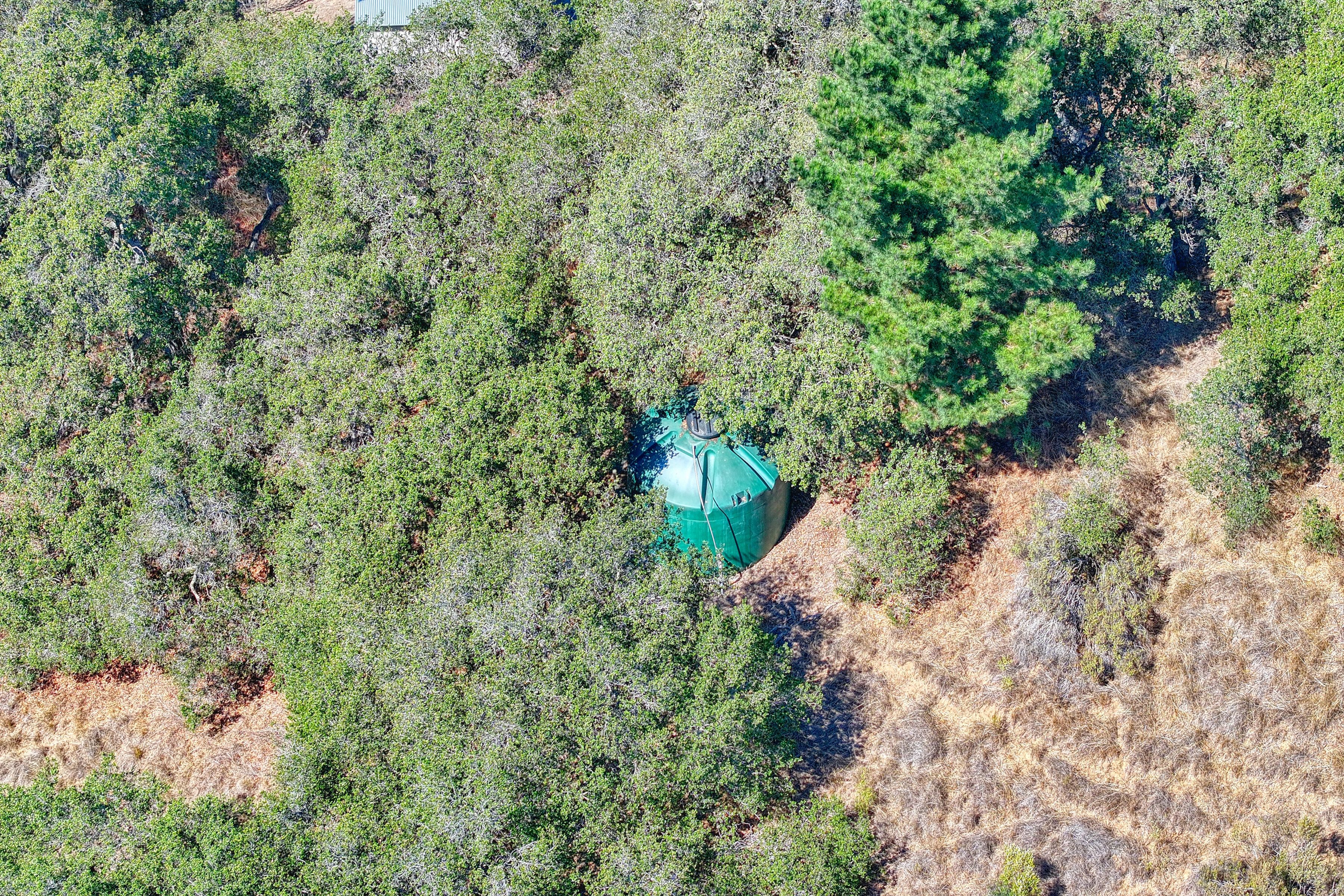  501 Maher Road #A, Royal Oaks - 物件實景
