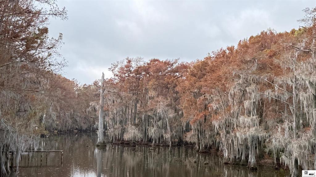 Sterlington, Louisiana, 71280, United States, 4 Bedrooms Bedrooms, ,3 BathroomsBathrooms,Residential,For Sale,1995484