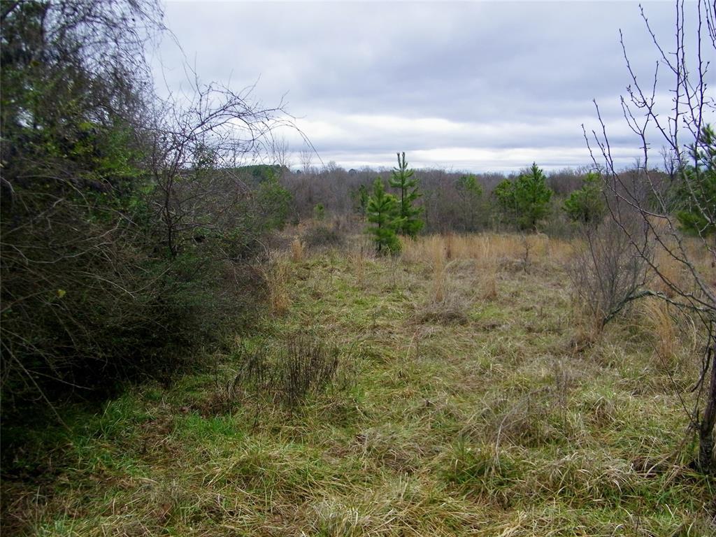 Idabel, Oklahoma, 74745, United States, ,Residential,For Sale,1981153