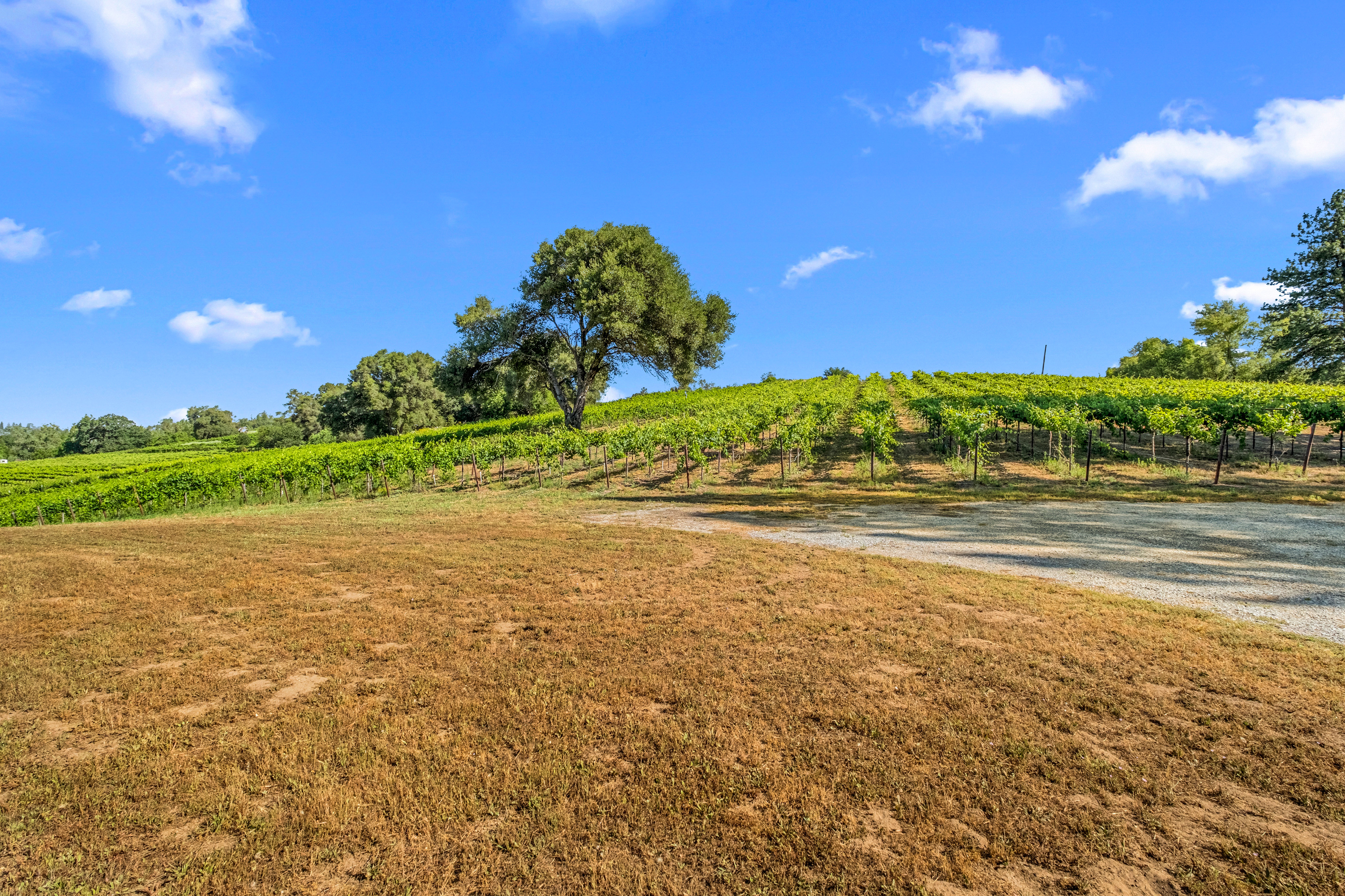  7330 Perry Creek Road, Somerset, CA 95684 - 物件實景