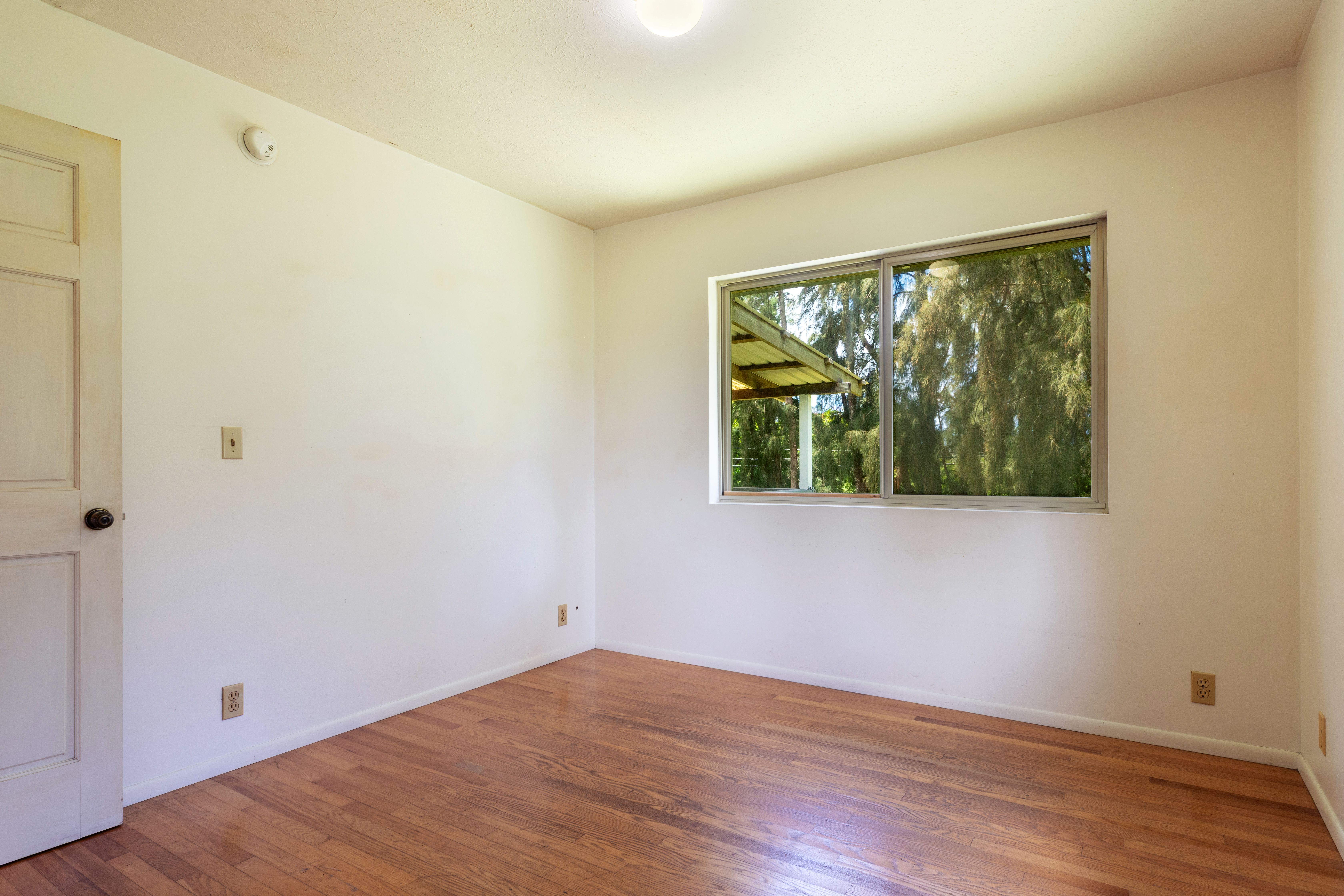  55-508 Ilina Rd, Hawi, HI, 96719 - 物件實景
