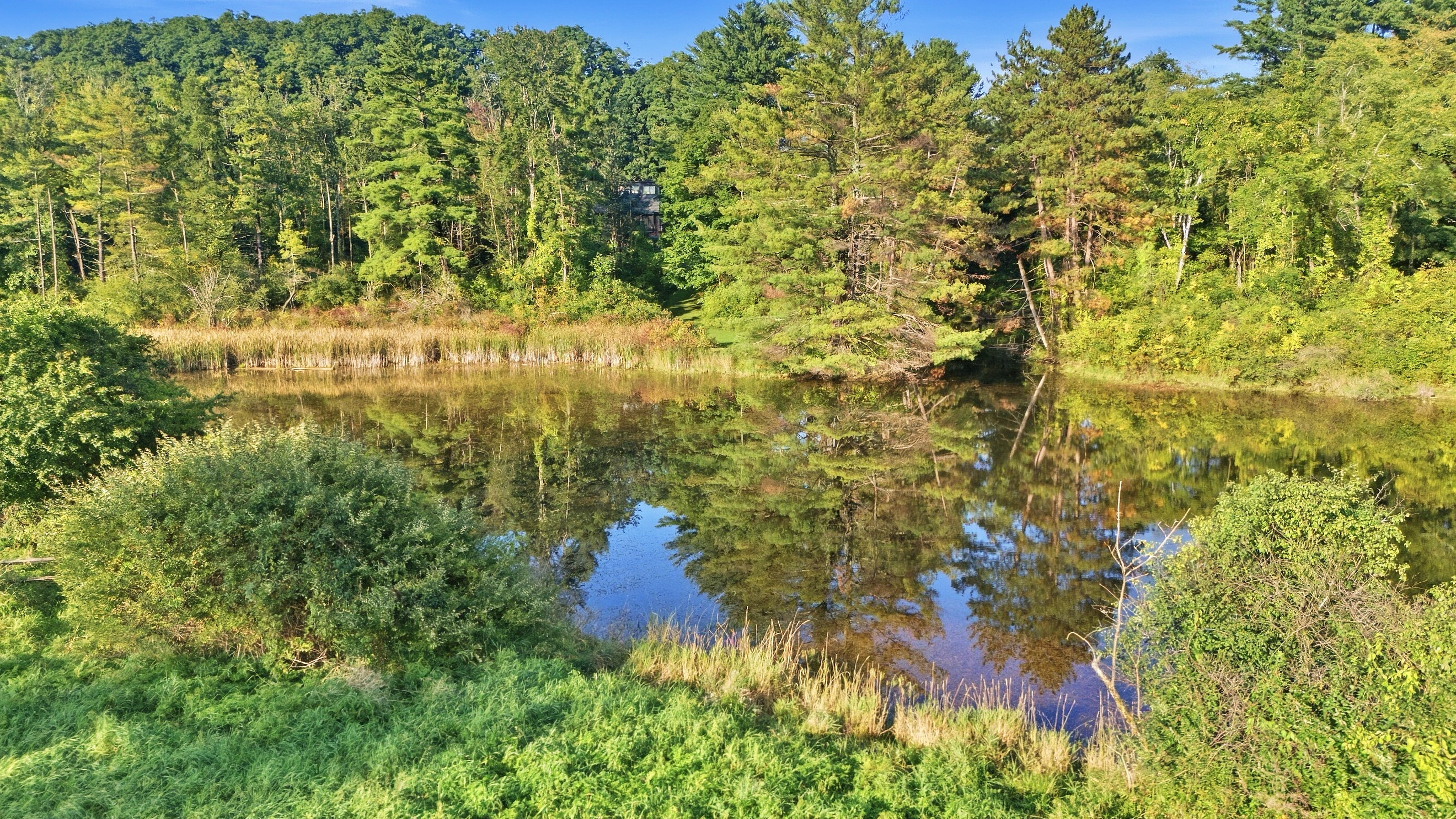  Richmond Estate Near Tanglewood: 5+ Acres, Pond Access, & Bonus Suite - 物件實景