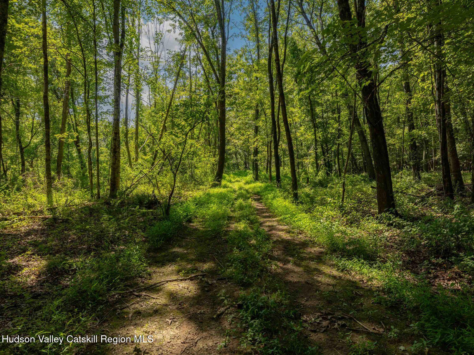 Hurley, New York, 12443, United States, ,Residential,For Sale,1940966