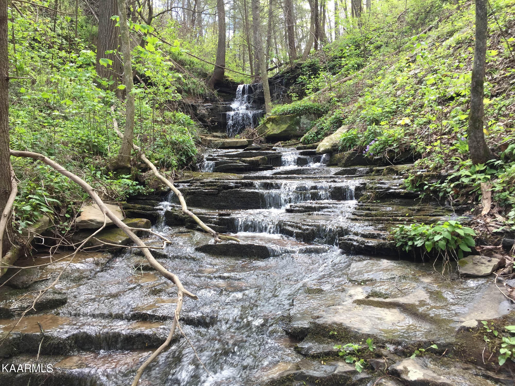 Pikeville, Tennessee, 37367, United States, ,Residential,For Sale,1943070