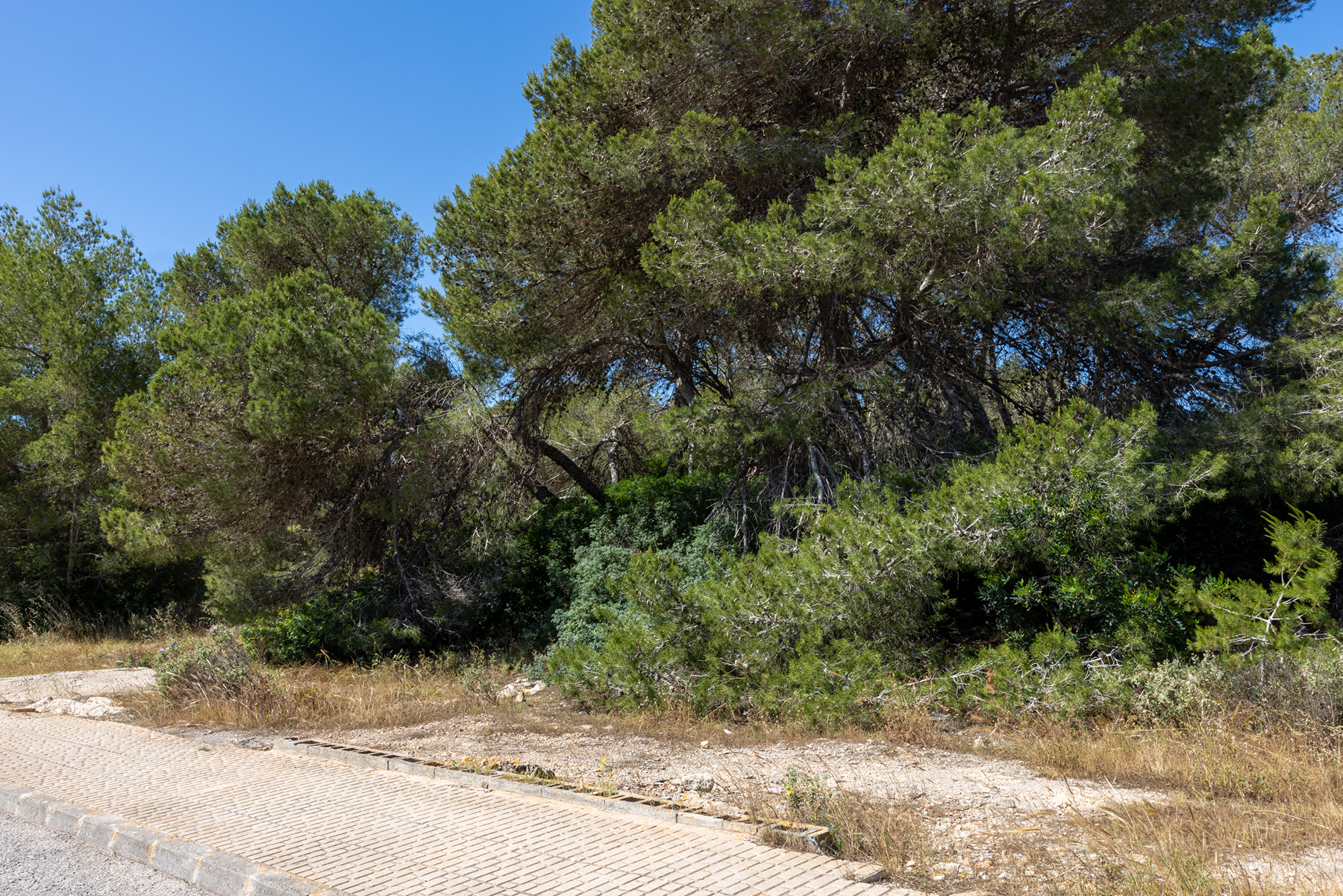 Urban plot in Ibiza for socio-cultural project - 物件實景