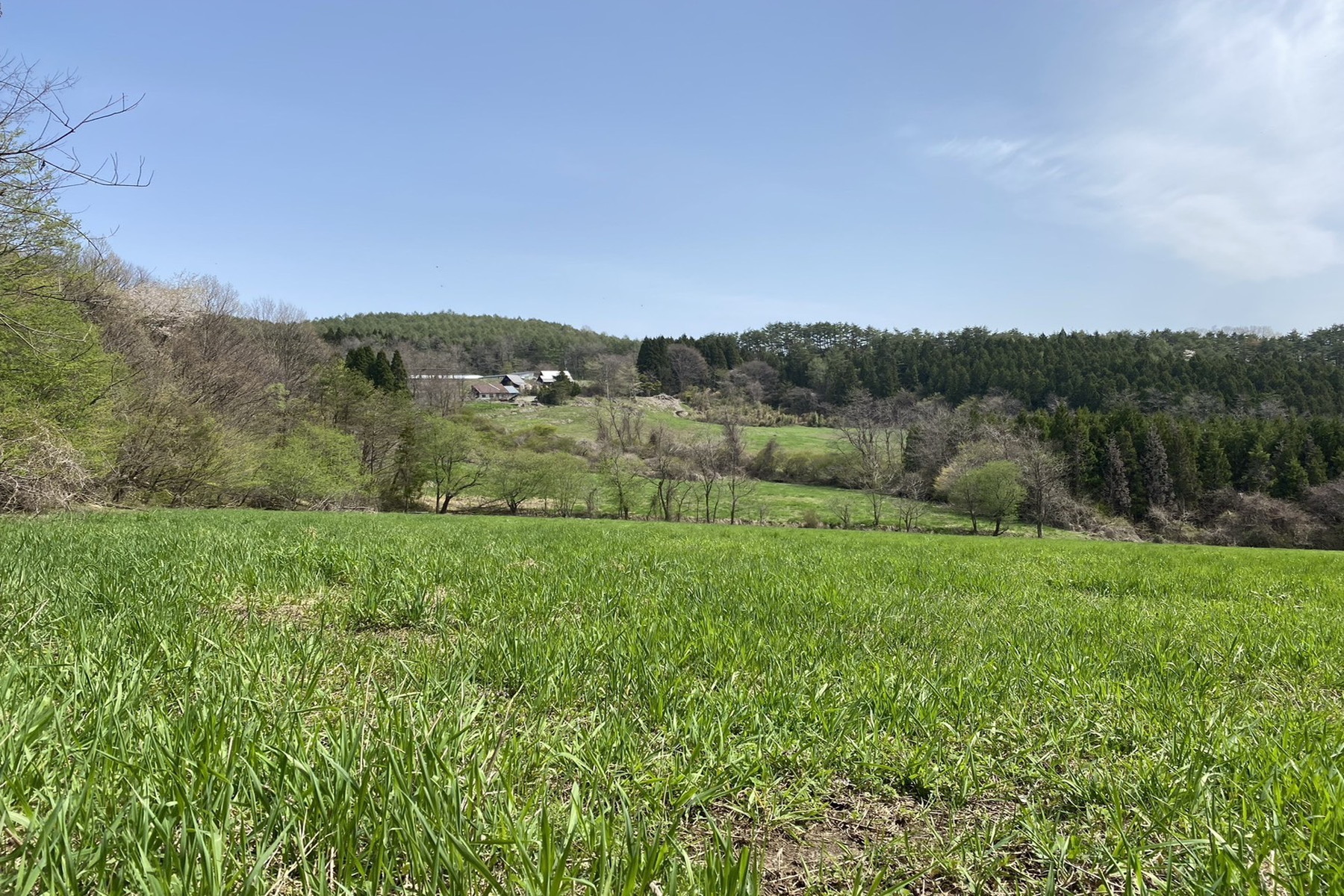 Mizukami Ranch - 物件實景