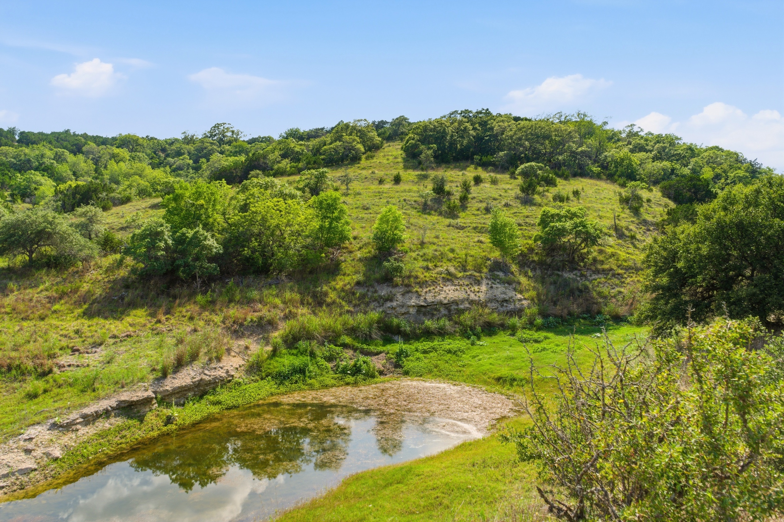  72+/- Acre Palmetto Creek Ranch - 物件實景