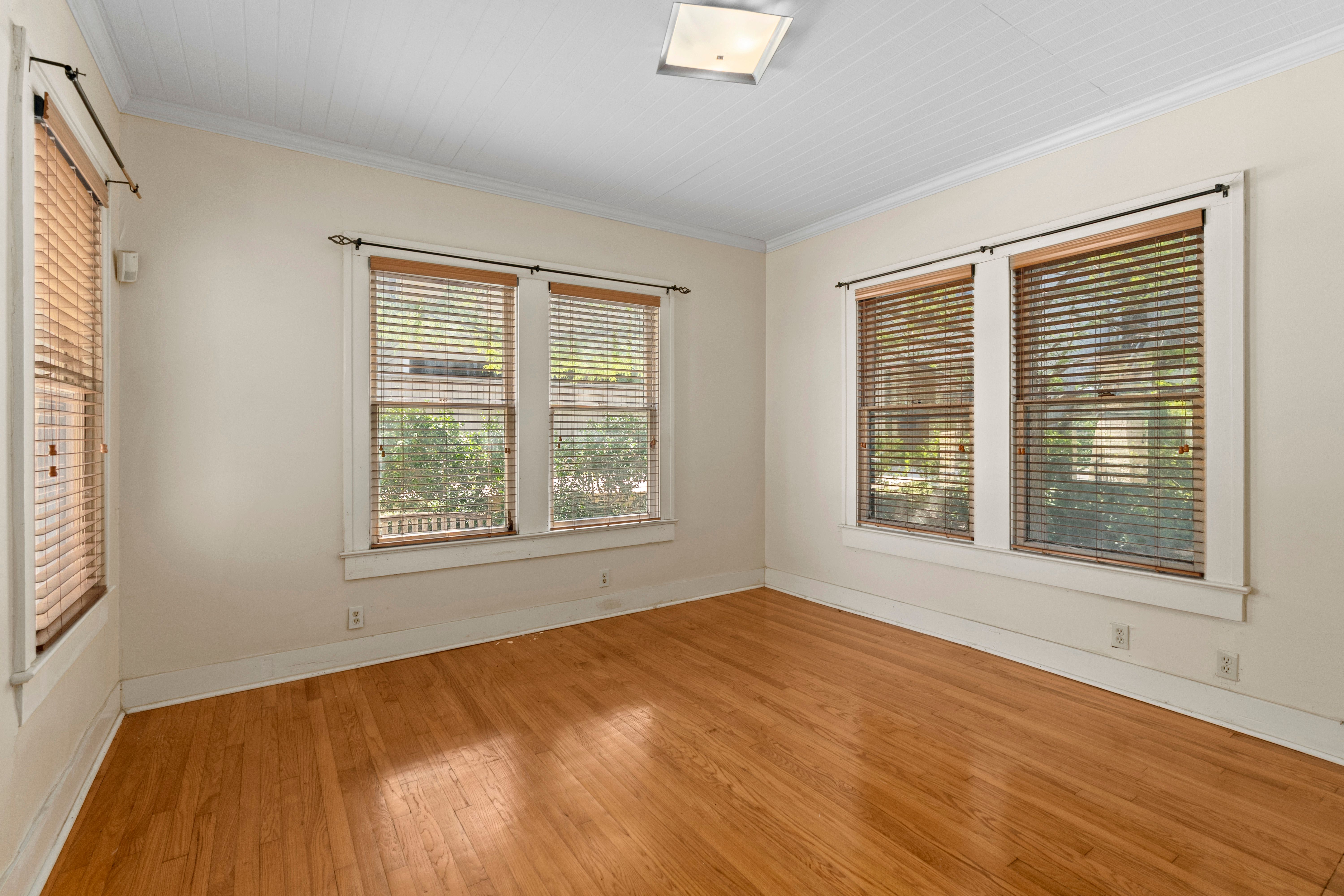  Great Investment Opportunity in Mahncke Park - 物件實景