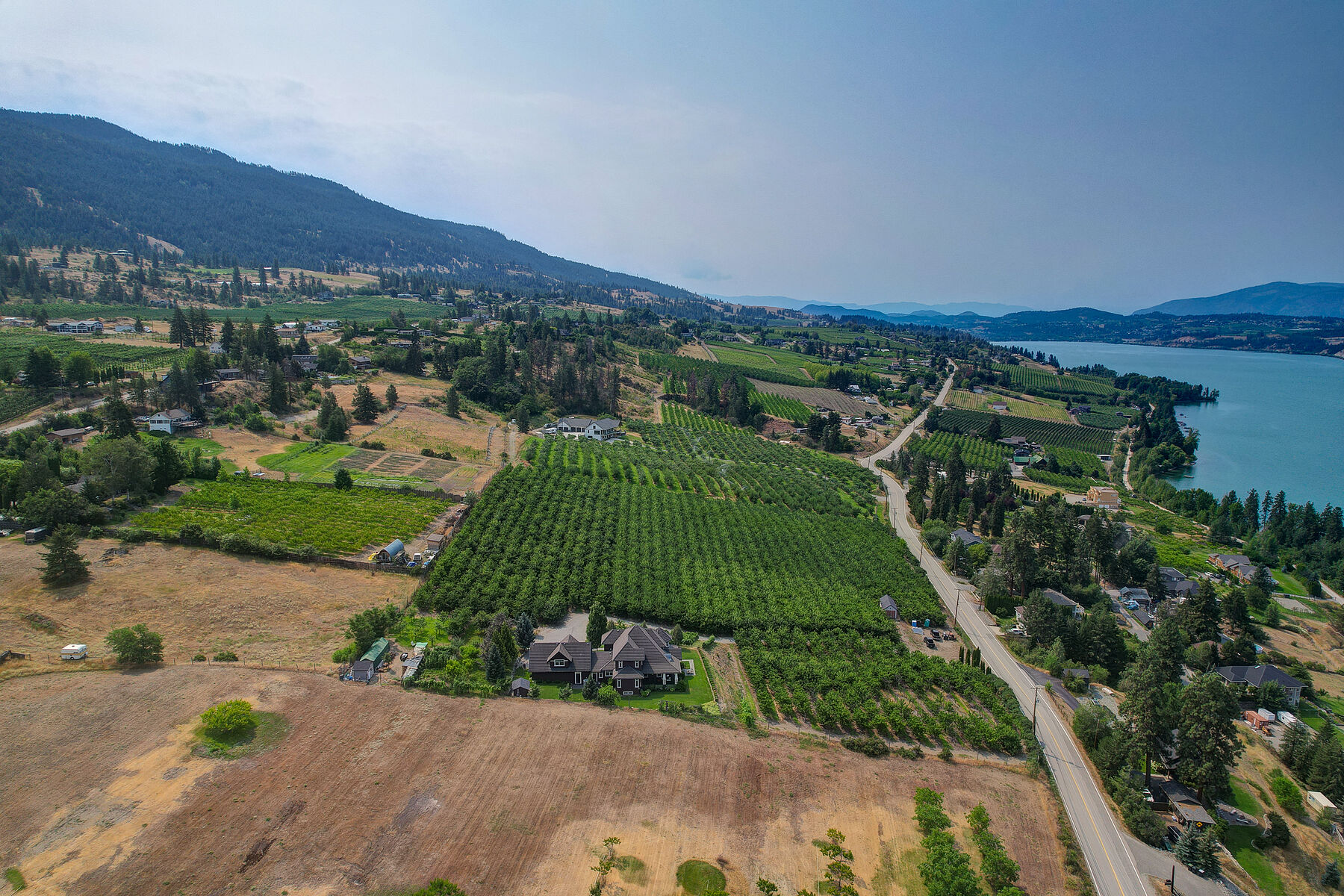  Extraordinary Custom Estate - 物件實景