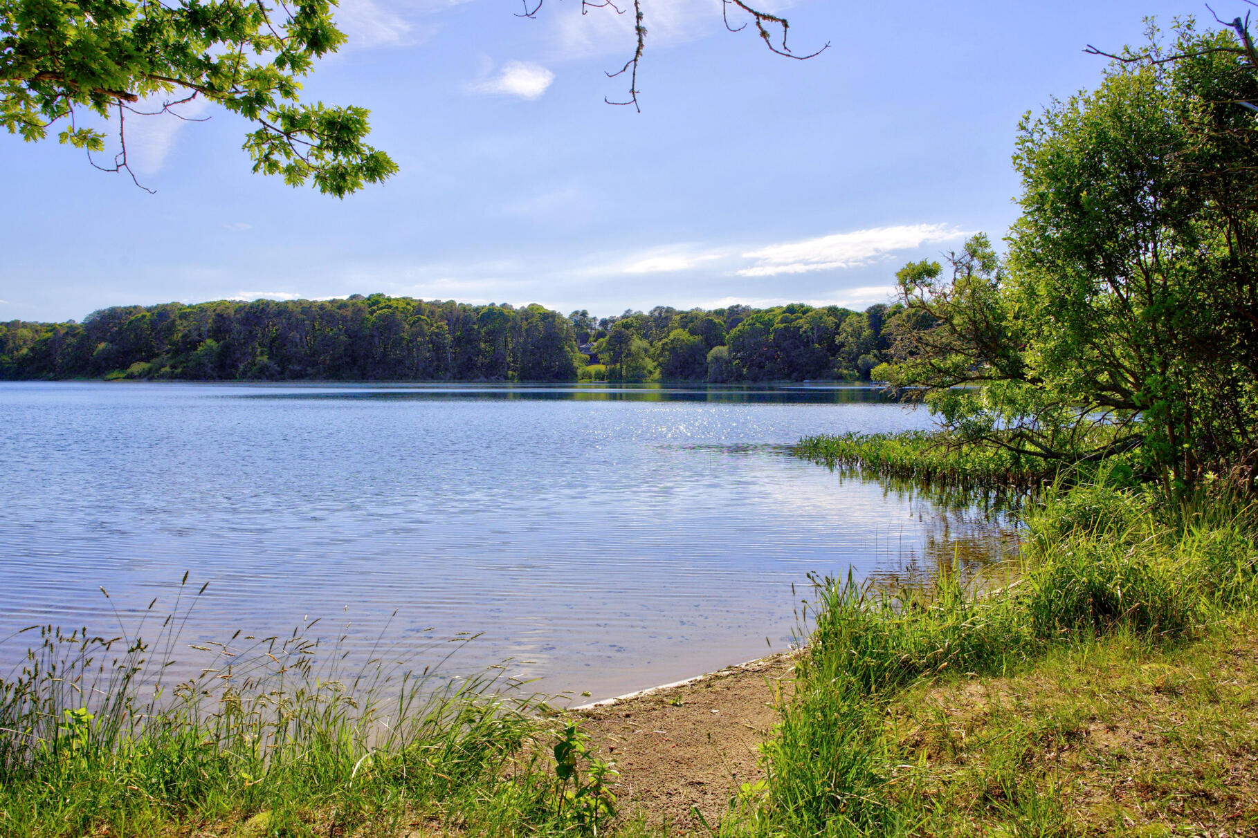  239 Northgate Road, Chatham, MA, 02633 - 物件實景