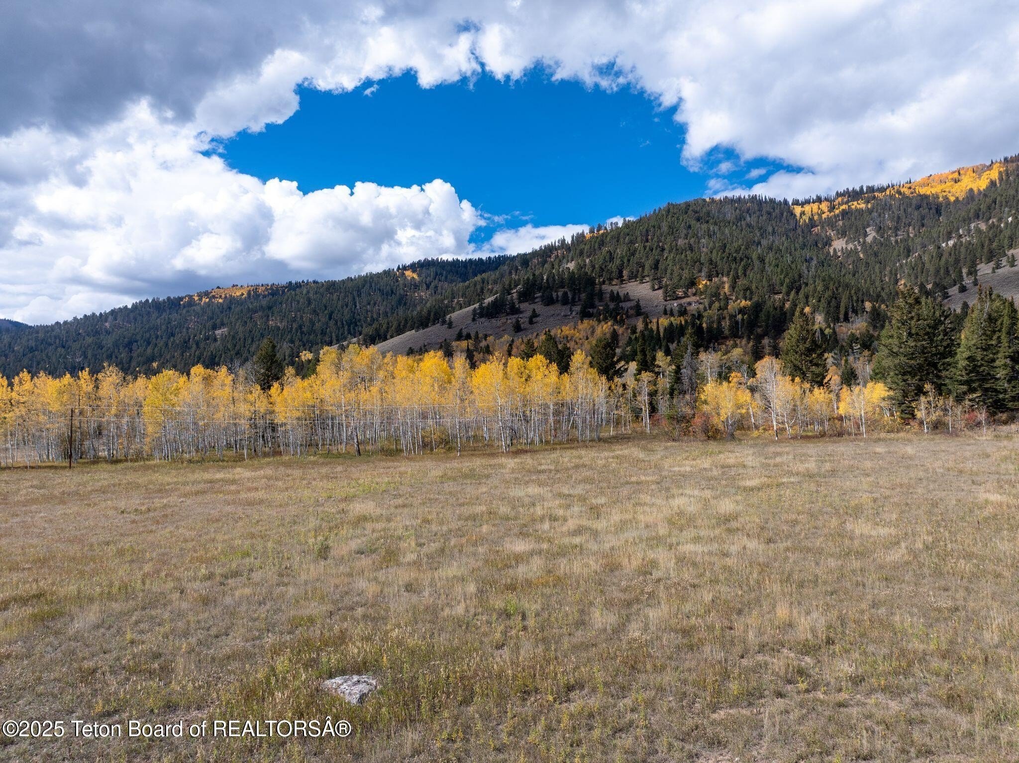 Wilson, Wyoming, 83014, United States, 5 Bedrooms Bedrooms, ,1 BathroomBathrooms,Residential,For Sale,1978081