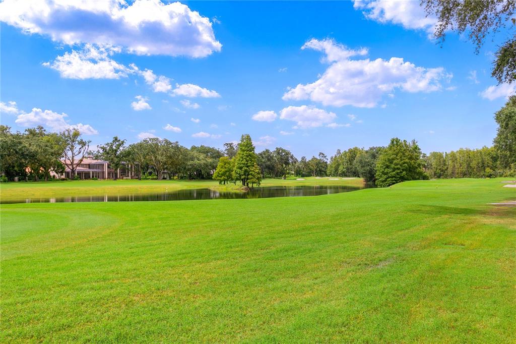 Tampa, Florida, 33613, United States, 7 Bedrooms Bedrooms, ,8 BathroomsBathrooms,Residential,For Sale,1979226