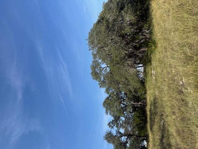 Fredericksburg, Texas, 78624, United States, 3 Bedrooms Bedrooms, ,2 BathroomsBathrooms,Residential,For Sale,1984349