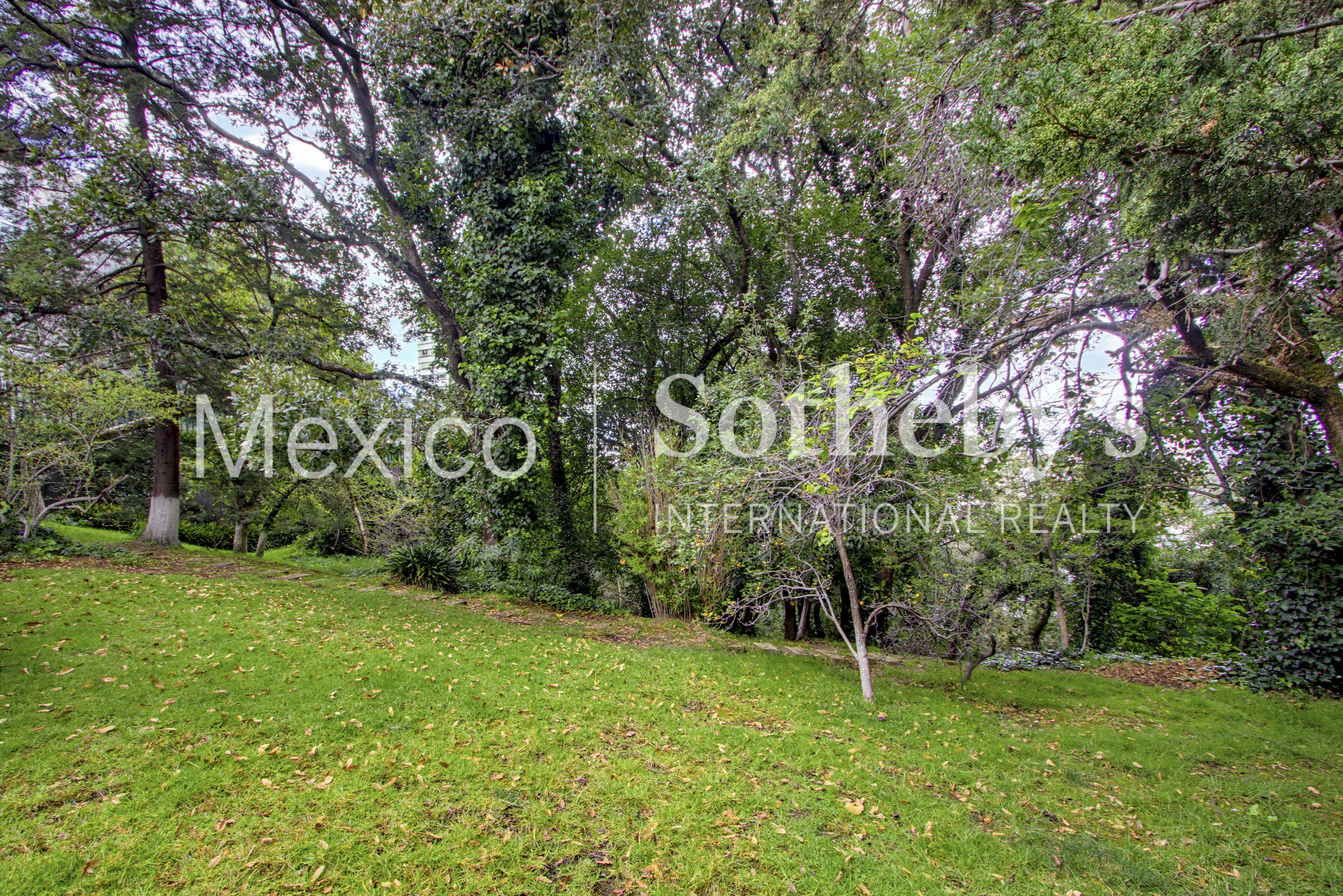  Terreno En Venta En Lomas De Vista Hermosa, Cuajimalpa - 物件實景
