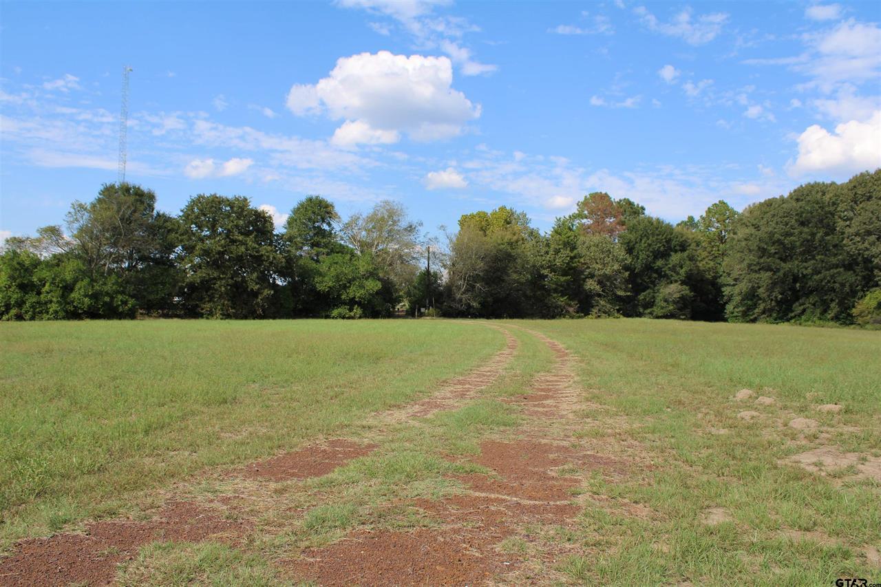 Jacksonville, Texas, 75766, United States, 2 Bedrooms Bedrooms, ,1 BathroomBathrooms,Residential,For Sale,1984164