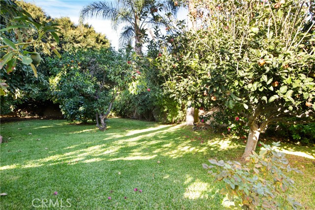 Bellflower, California, 90706, United States, 3 Bedrooms Bedrooms, ,1 BathroomBathrooms,Residential,For Sale,2005811