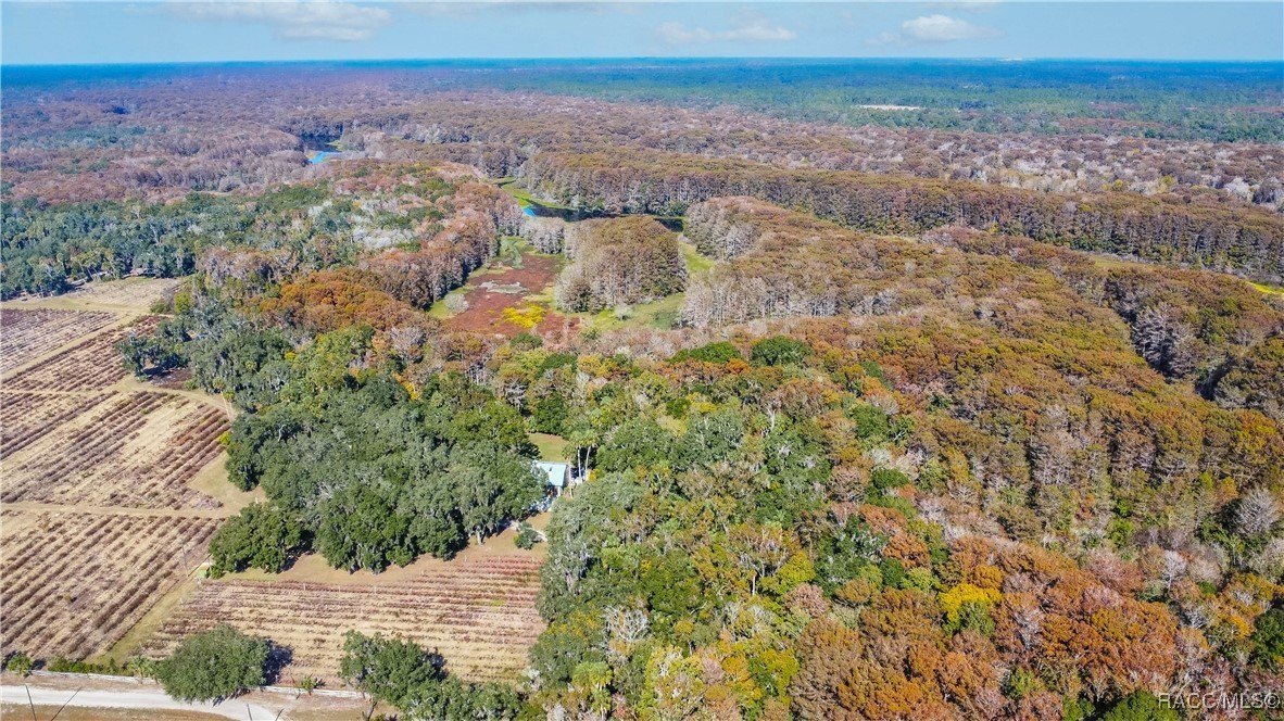 Inverness, Florida, 34450, United States, 4 Bedrooms Bedrooms, ,7 BathroomsBathrooms,Residential,For Sale,2005409