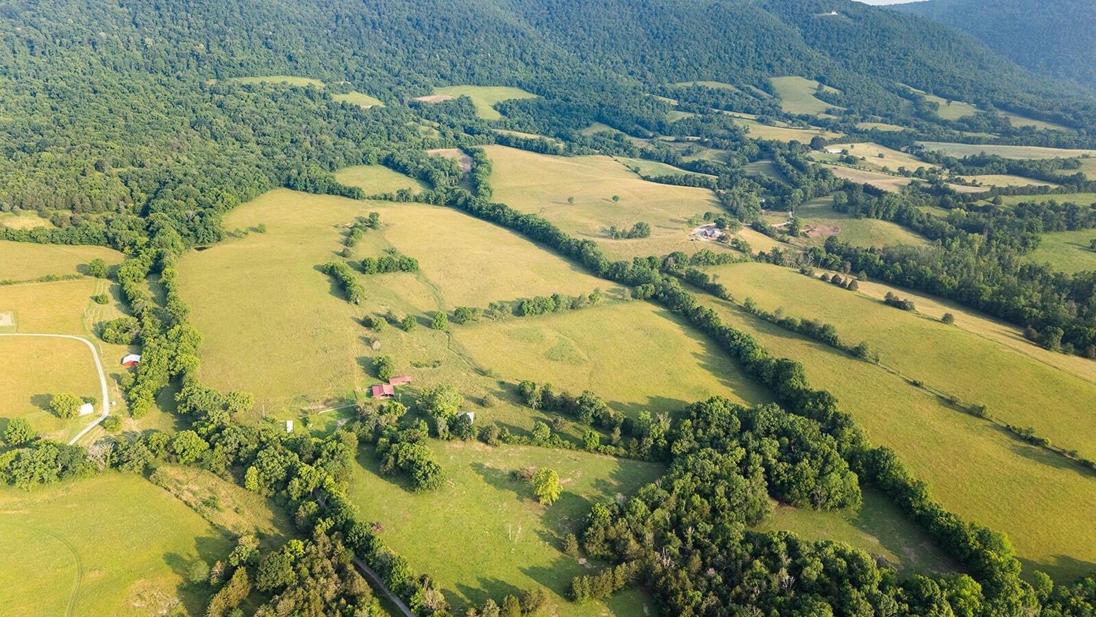 188 Marion Agee Road, Crossville, Tennessee, 37367, United States, ,Land,For Sale,188 Marion Agee Road,1659693