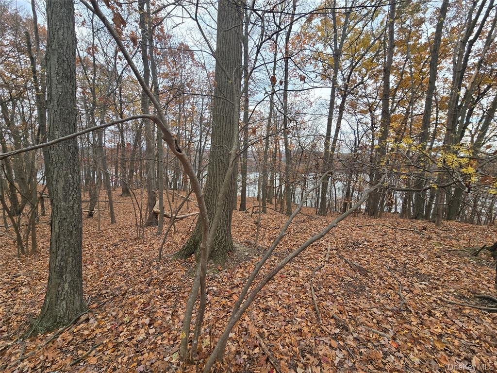 Highland, New York, 12528, United States, ,Residential,For Sale,1989942