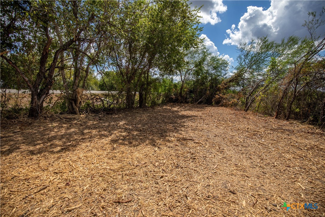 Cuero, Texas, 77954, United States, ,Residential,For Sale,1963995