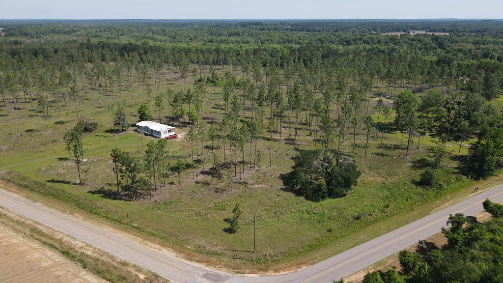 Cottonwood, Alabama, 36320, United States, ,Land,For Sale,1840022