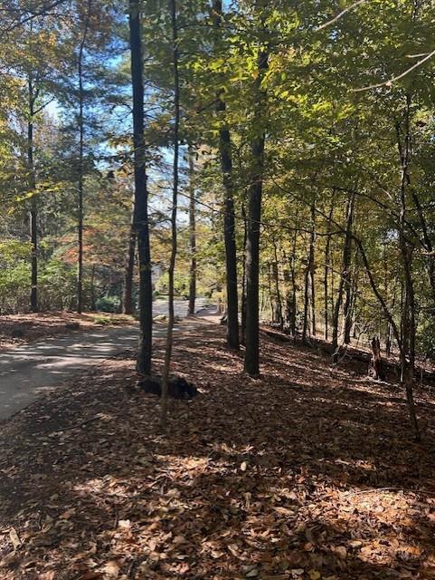 Atlanta, Georgia, 30327, United States, ,Land,For Sale,1988161